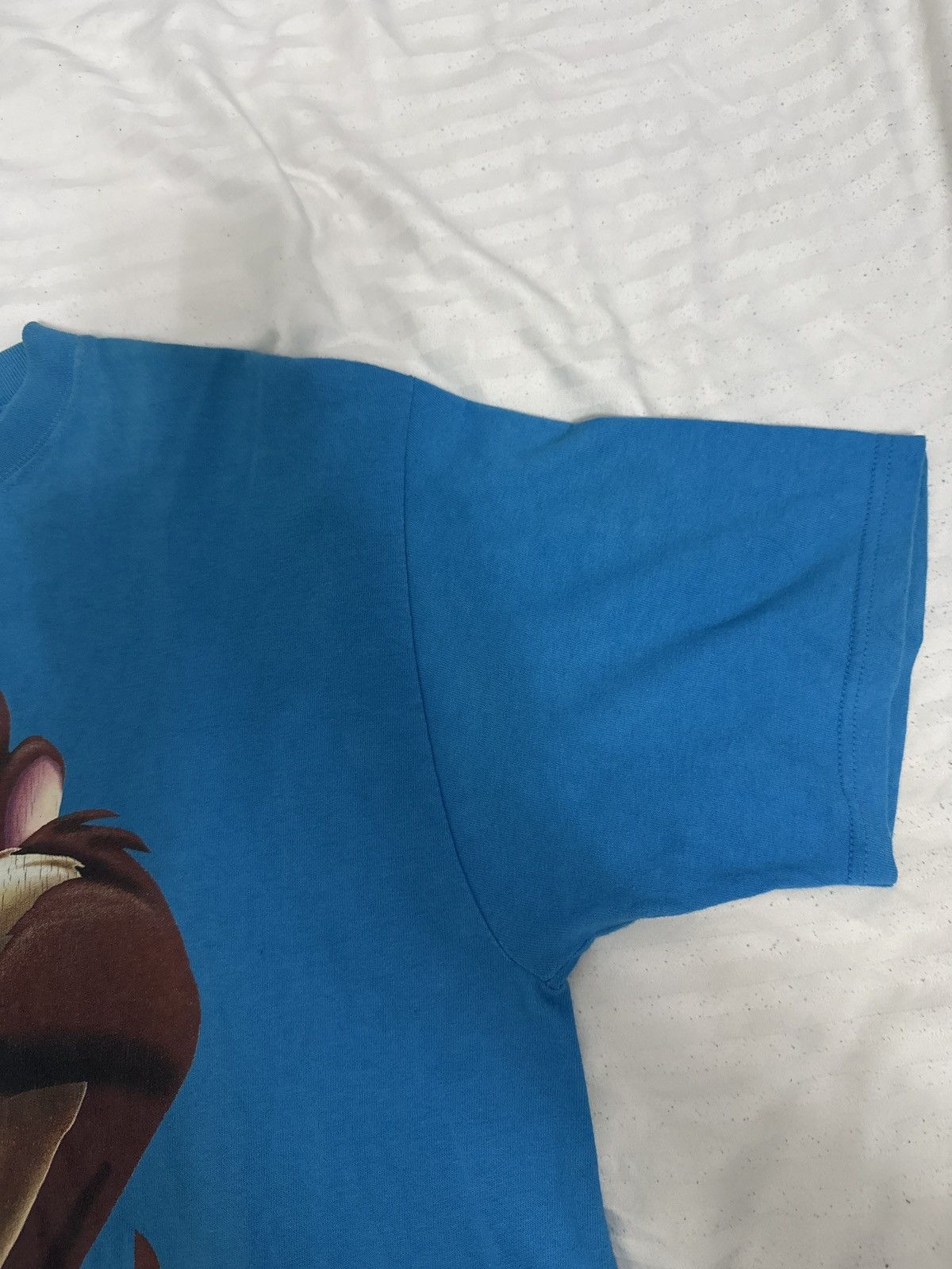 Vintage 90s TAZ Tee USA Made M - Back Hole & Vintage Cracks Size US M / EU 48-50 / 2 - 5 Thumbnail