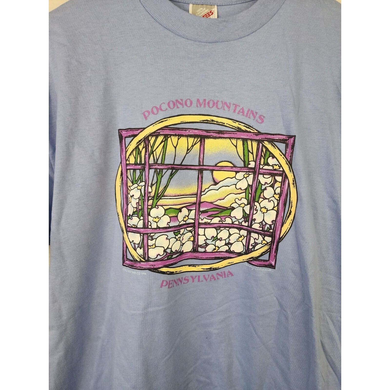 Jerzees Vintage Pocono Mountains Shirt Pennsylvania Blue 1996 Tee L Size US L / EU 52-54 / 3 - 2 Thumbnail