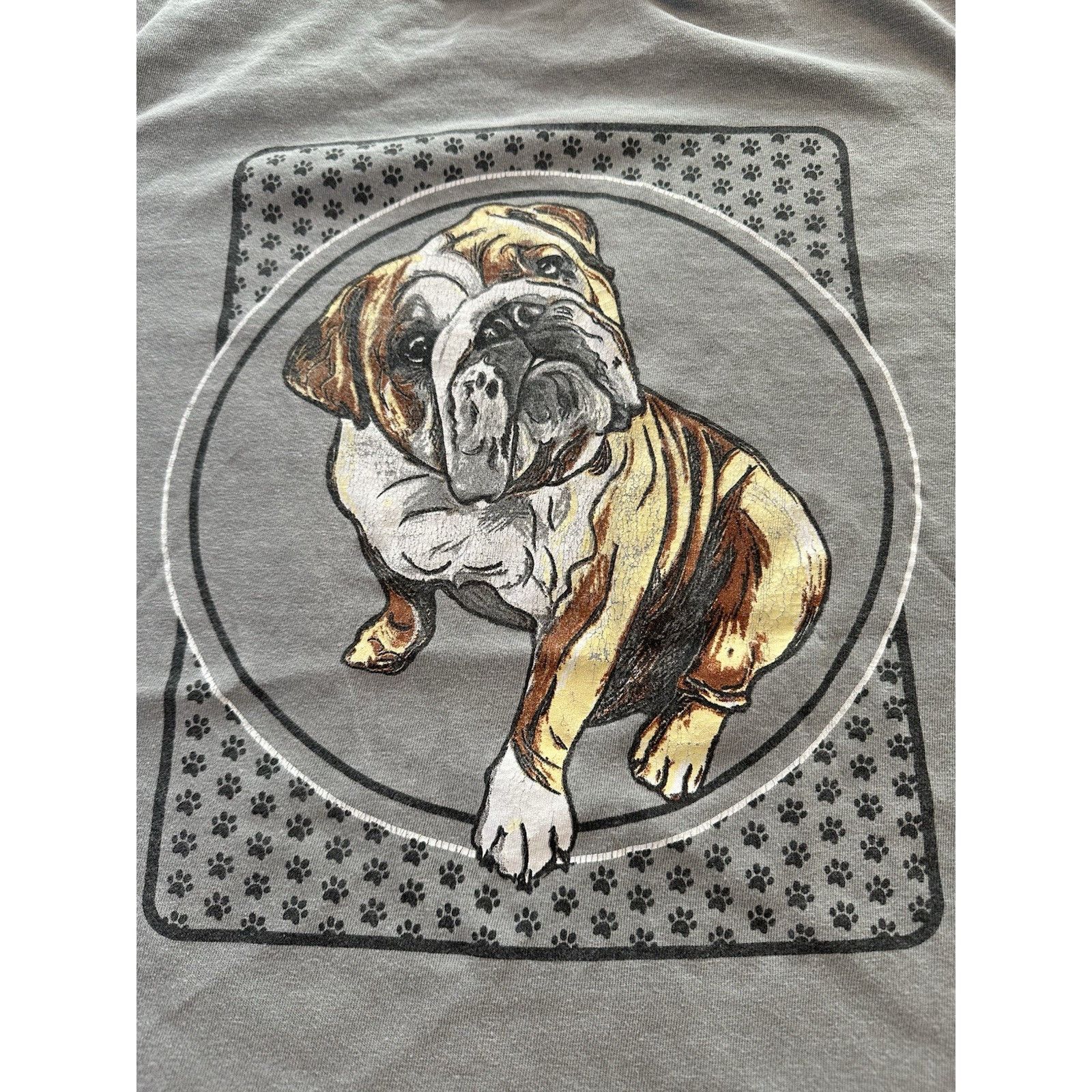 Comfort Colors Comfort Colors Backwoods Born & Raised Dog T-shirt XL Gray Size US XL / EU 56 / 4 - 8 Thumbnail