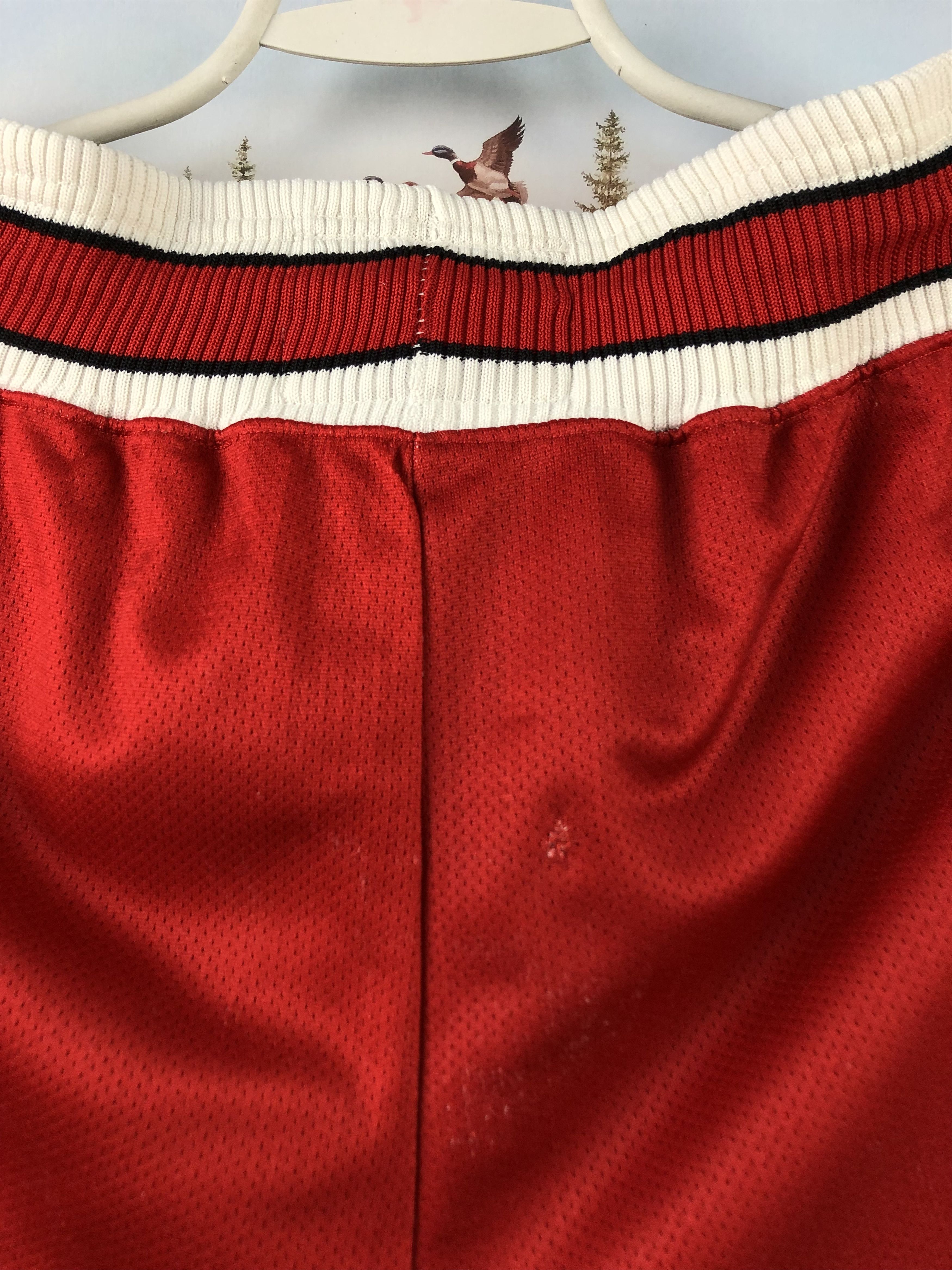 Champion Vintage Authentic Pro Cut Game Shorts Chicago Bulls Champion Size US 32 / EU 48 - 13 Thumbnail