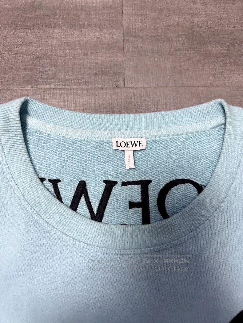 Loewe LOEWE Letter Big Goose Sweatshirt for Men Size US M / EU 48-50 / 2 - 7 Thumbnail