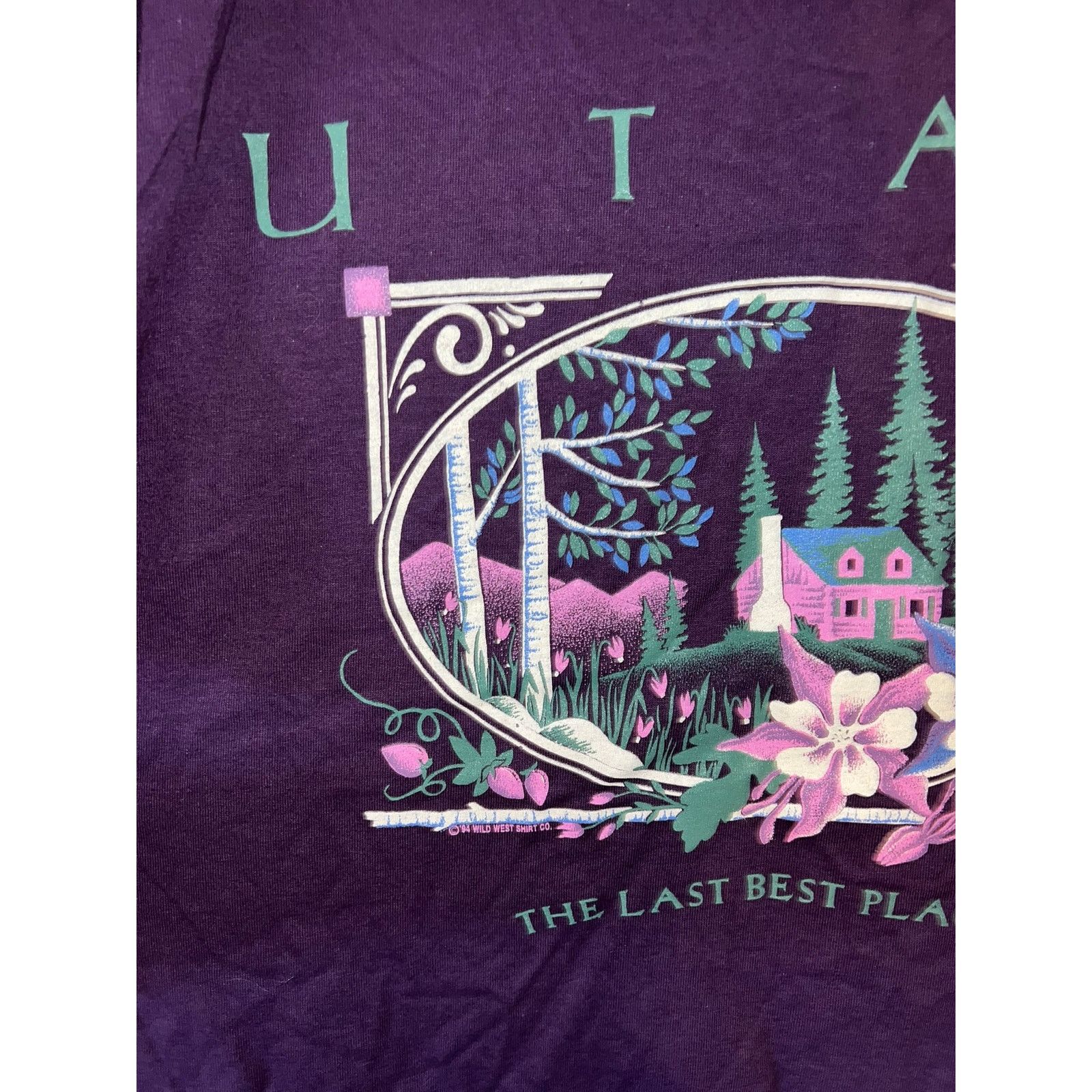 Jerzees 90s UT Utah The Last best Place Cabin Mountain Shirt Large Size US L / EU 52-54 / 3 - 4 Thumbnail