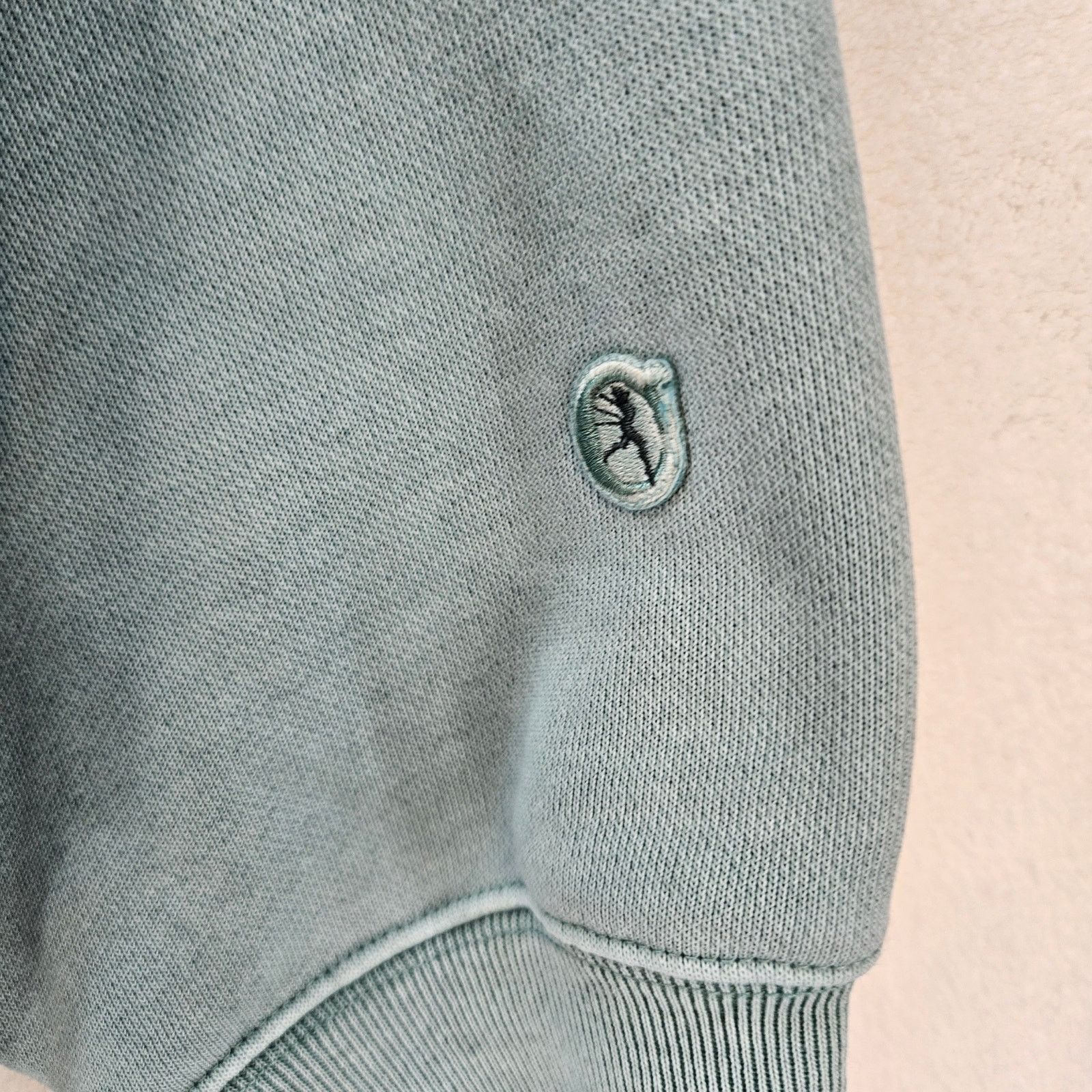 Champion CHAMPION WOMEN'S LARGE TIME CAPSULE HOODIE WASHED GREEN VINT Size L / US 10 / IT 46 - 3 Thumbnail