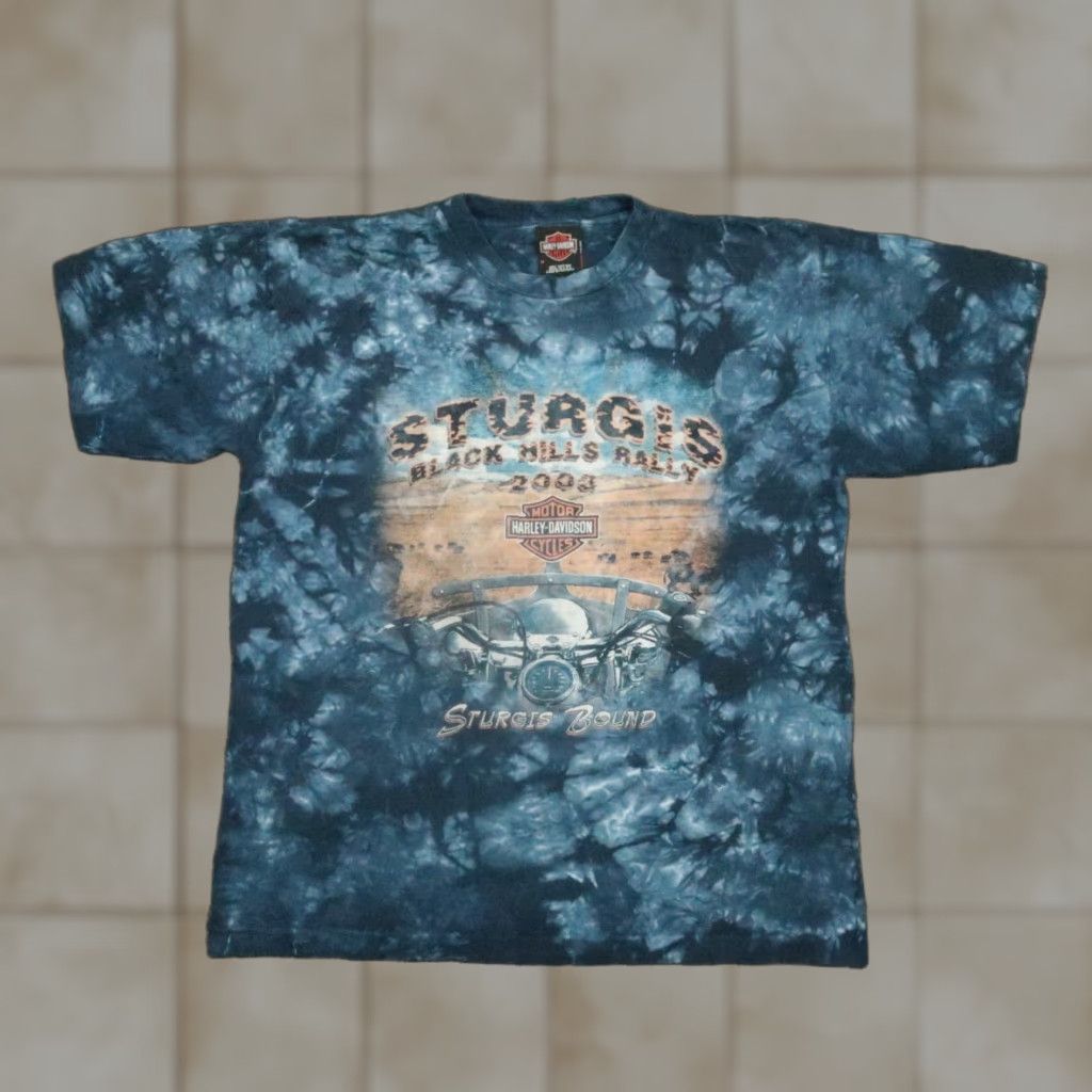 Harley Davidson VINTAGE Harley-Davidson Shirt Men Medium Blue Sturgis Black Hills Rally 2003 Shirt Mens M Blue Harley-Davidson Vintage Sturgis 2003 Size US M / EU 48-50 / 2 - 1 Thumbnail