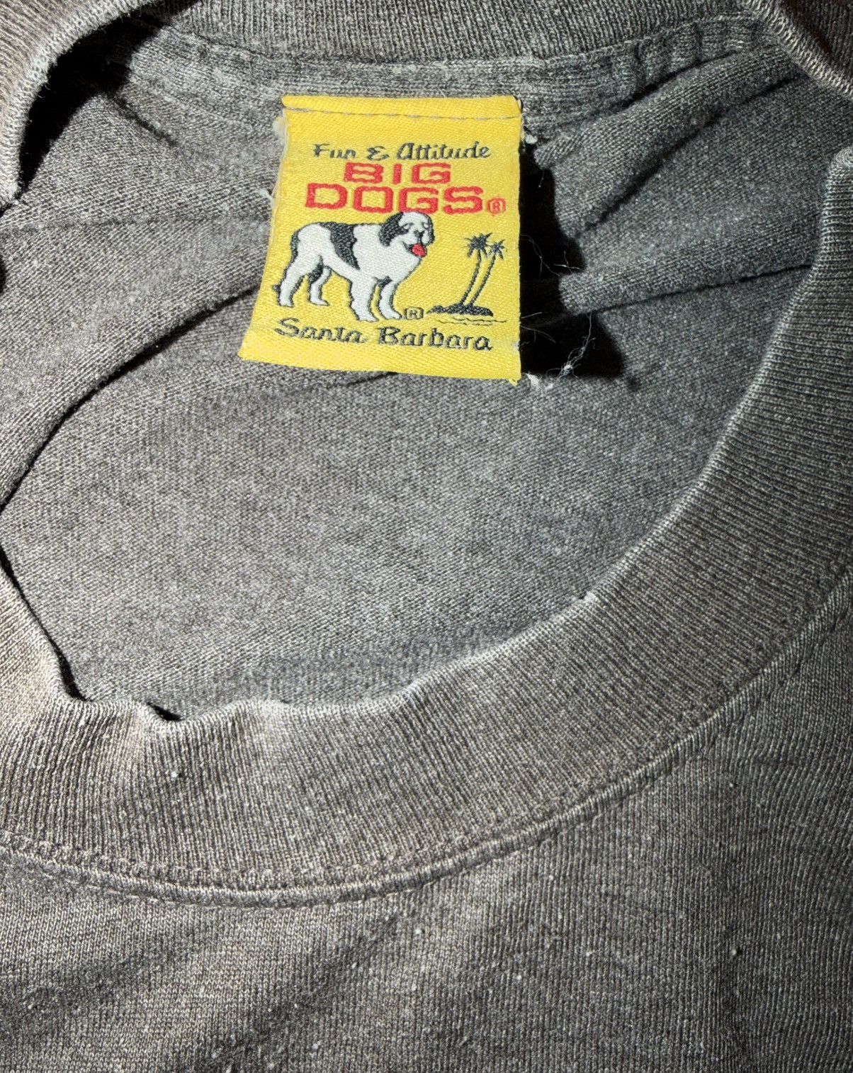 Big Dogs VTG The Big Dogs Of Country T-Shirt Gray Size L Size US L / EU 52-54 / 3 - 8 Thumbnail