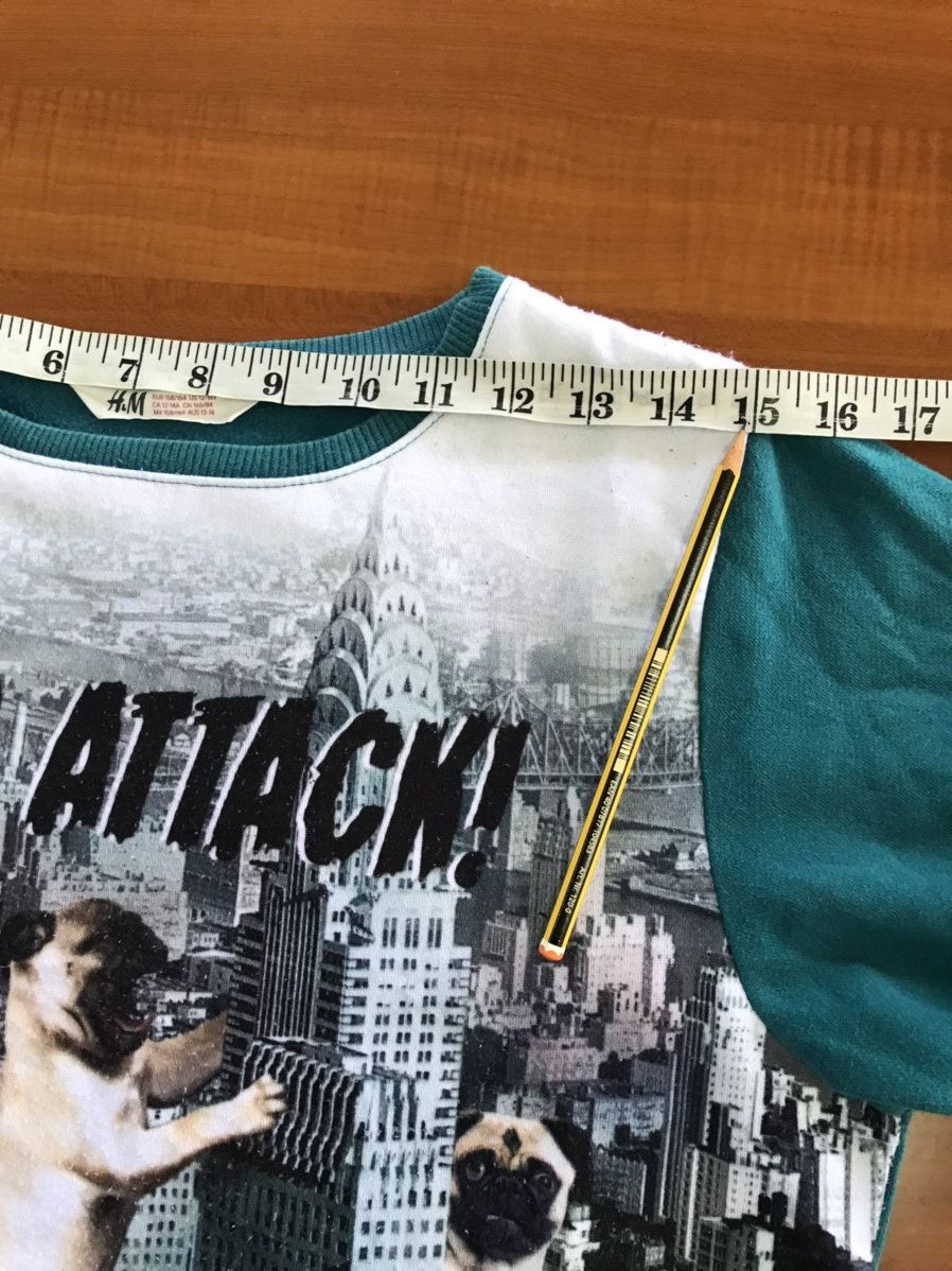 H&M H&M Pug Attack Fullprinted Sweatshirt Size US M / EU 48-50 / 2 - 18 Thumbnail