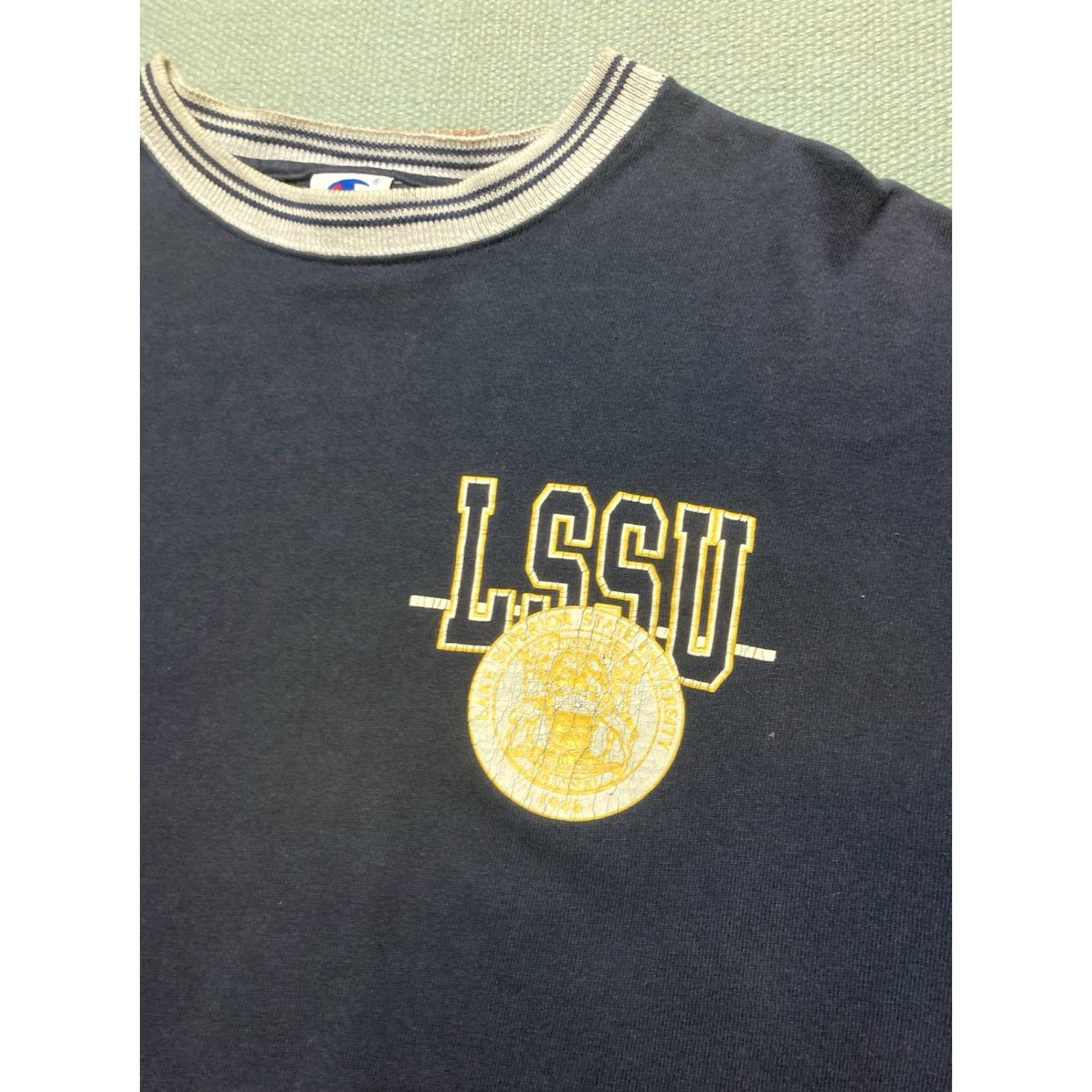 Champion VINTAGE Lake Superior State University Champion T-Shirt Lakers LSSU Blue Men Large T-Shirt 90s Size US L / EU 52-54 / 3 - 4 Thumbnail