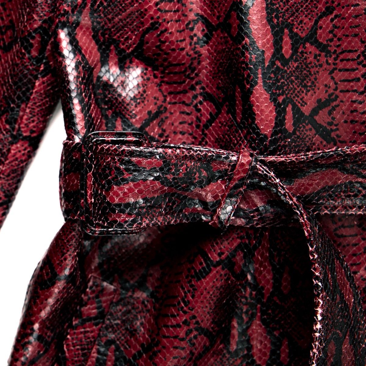 Balenciaga Balenciaga snake coat Fall 2023 Size M / US 6-8 / IT 42-44 - 3 Thumbnail