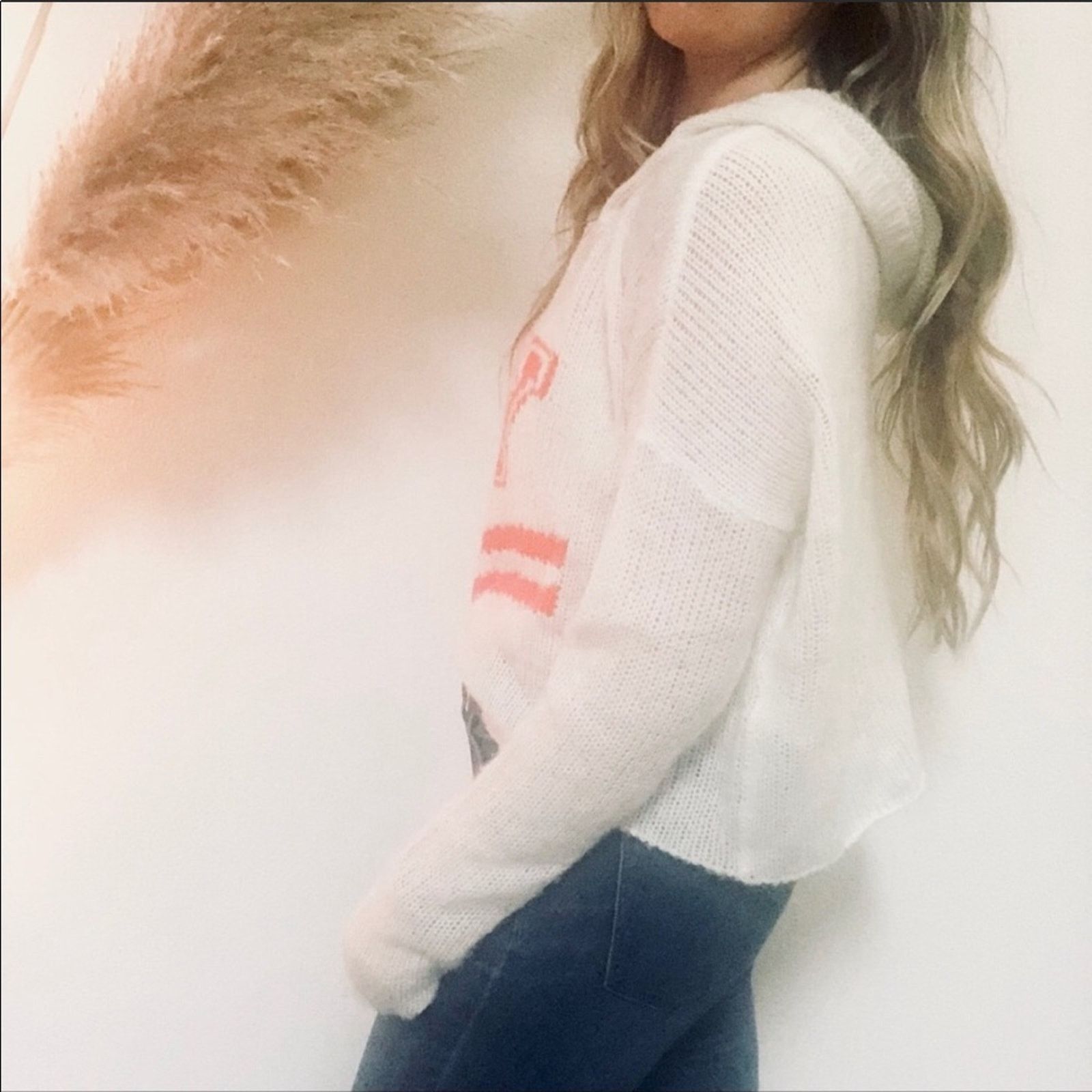 Wildfox WILDFOX White Label Orange Cheerleader Hoodie Crop Sweater Size M / US 6-8 / IT 42-44 - 3 Thumbnail