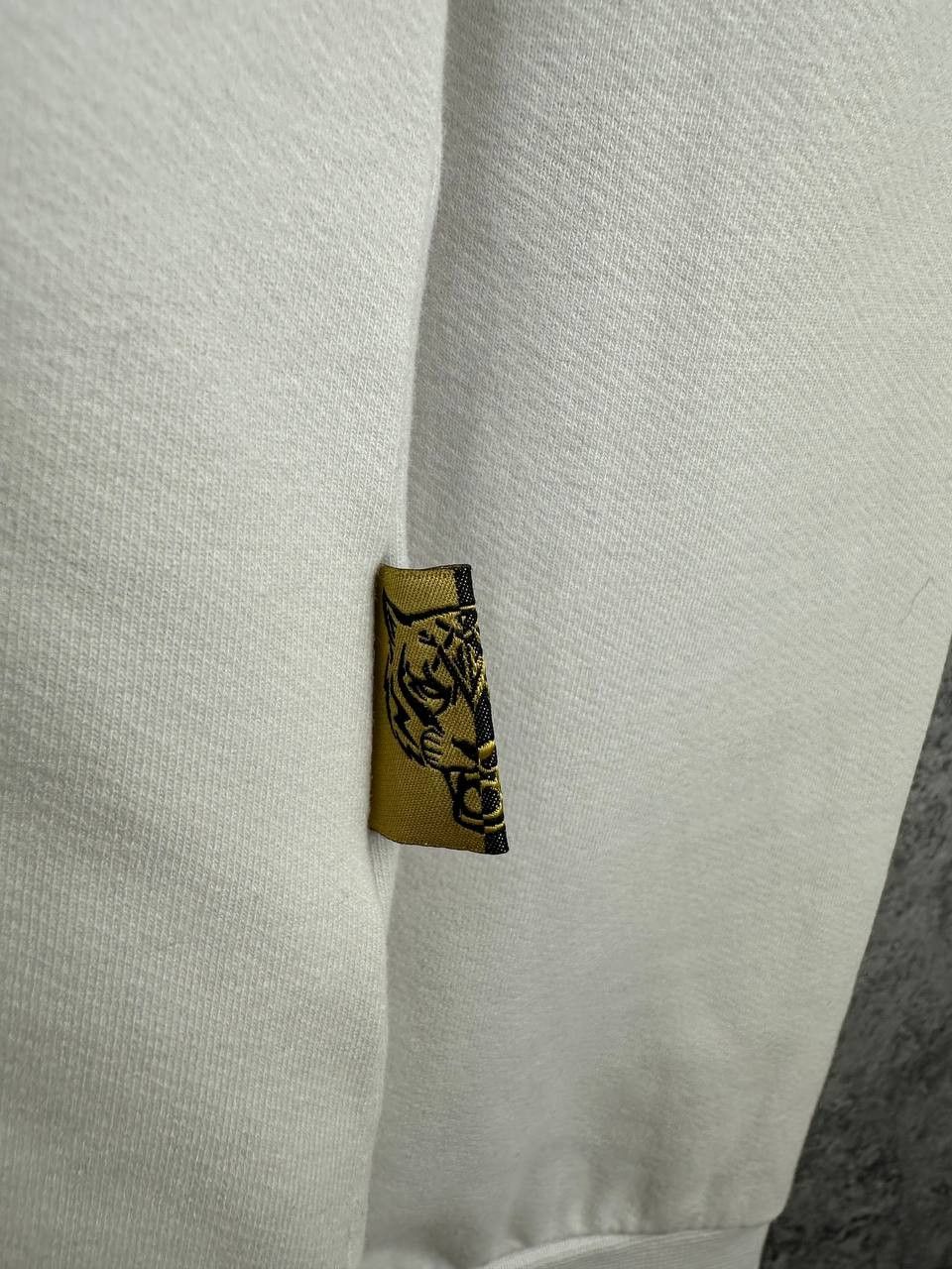 Philipp Plein PHILIPP PLEIN Sport Oversized Hoodie Tiger Graphic Logo Size US XL / EU 56 / 4 - 15 Thumbnail