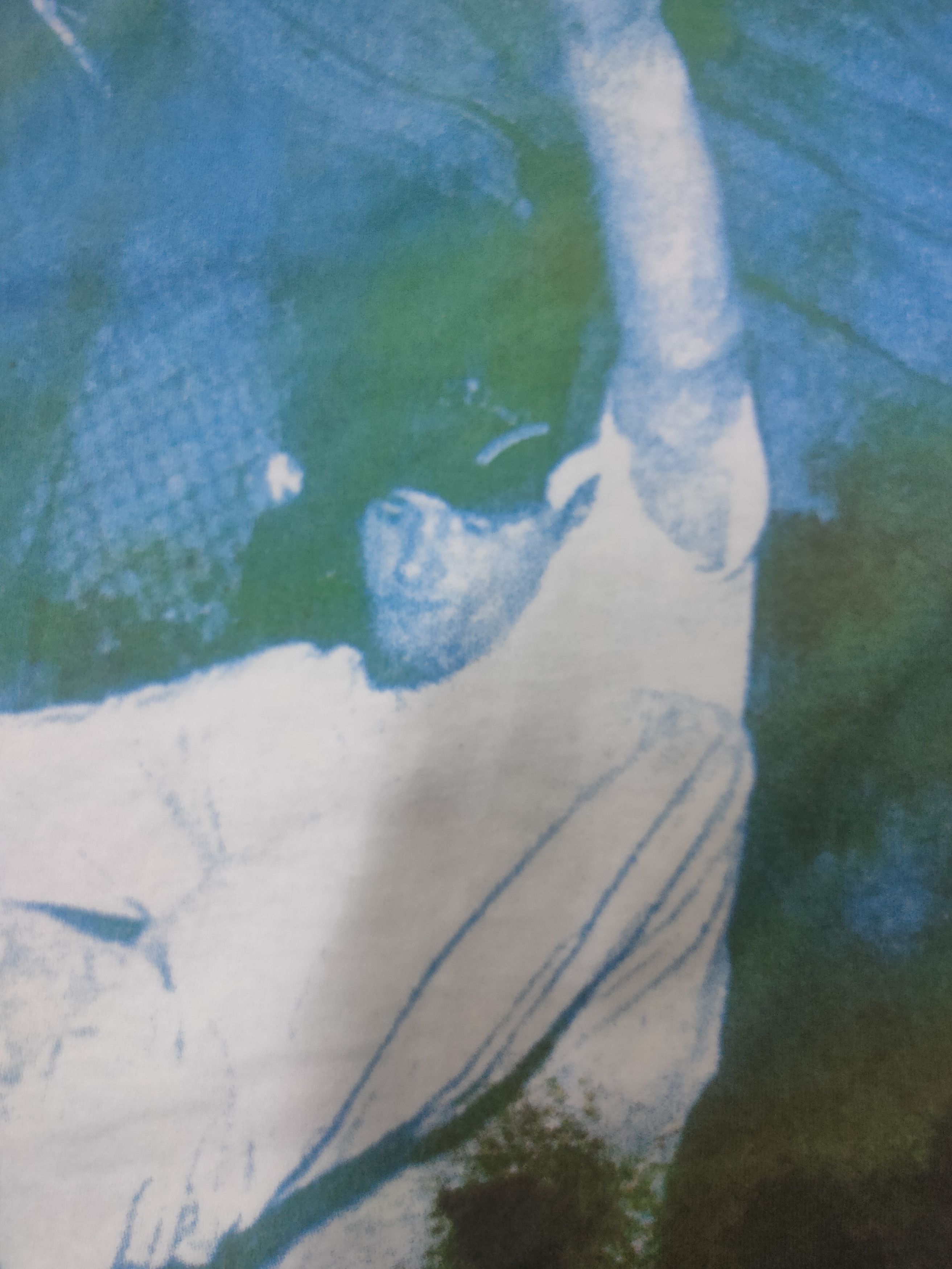 Think Skateboards × Vintage Vintage Skateboard style t shirt Size US L / EU 52-54 / 3 - 4 Thumbnail