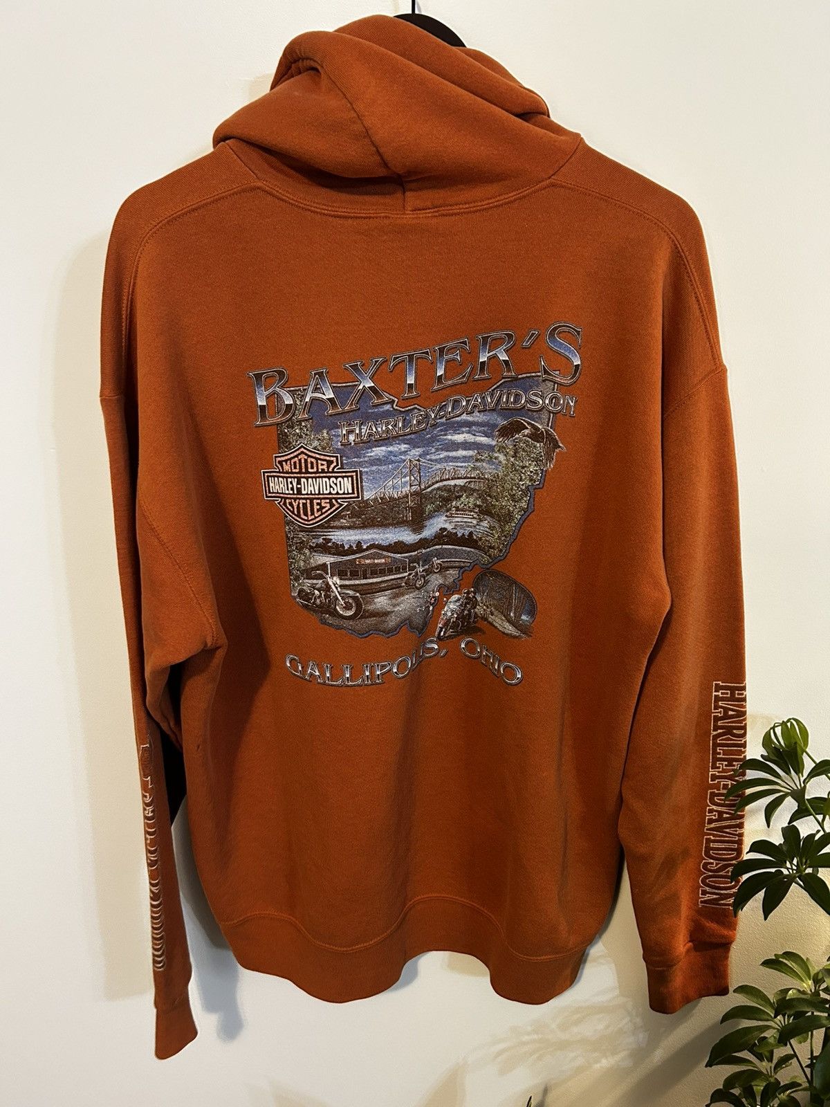 Harley Davidson Burnt sienna Harley Davidson hoodie Size US XL / EU 56 / 4 - 6 Thumbnail