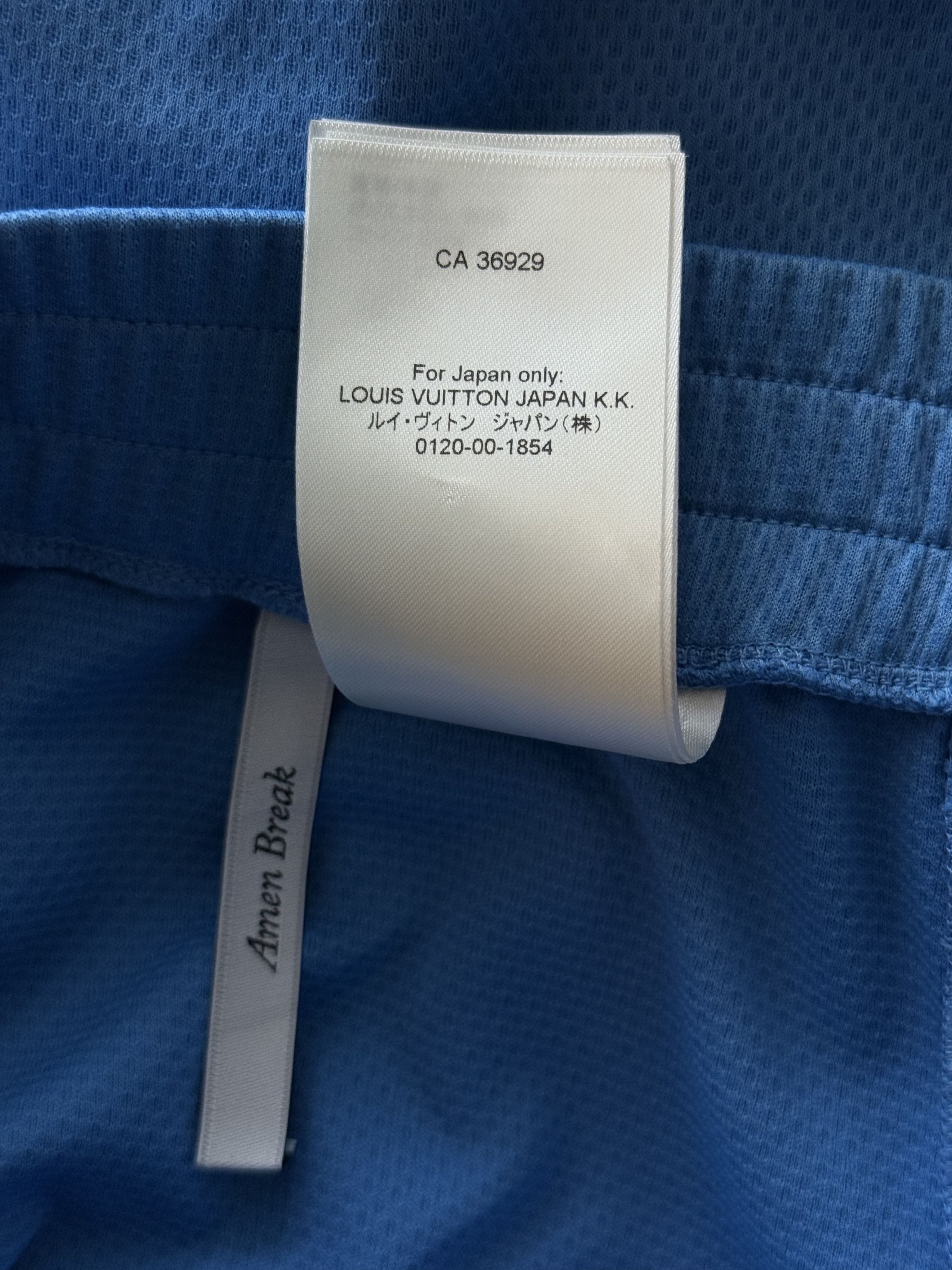 Louis Vuitton Louis Vuitton Blue Lightning Logo Shorts Size US 30 / EU 46 - 8 Thumbnail