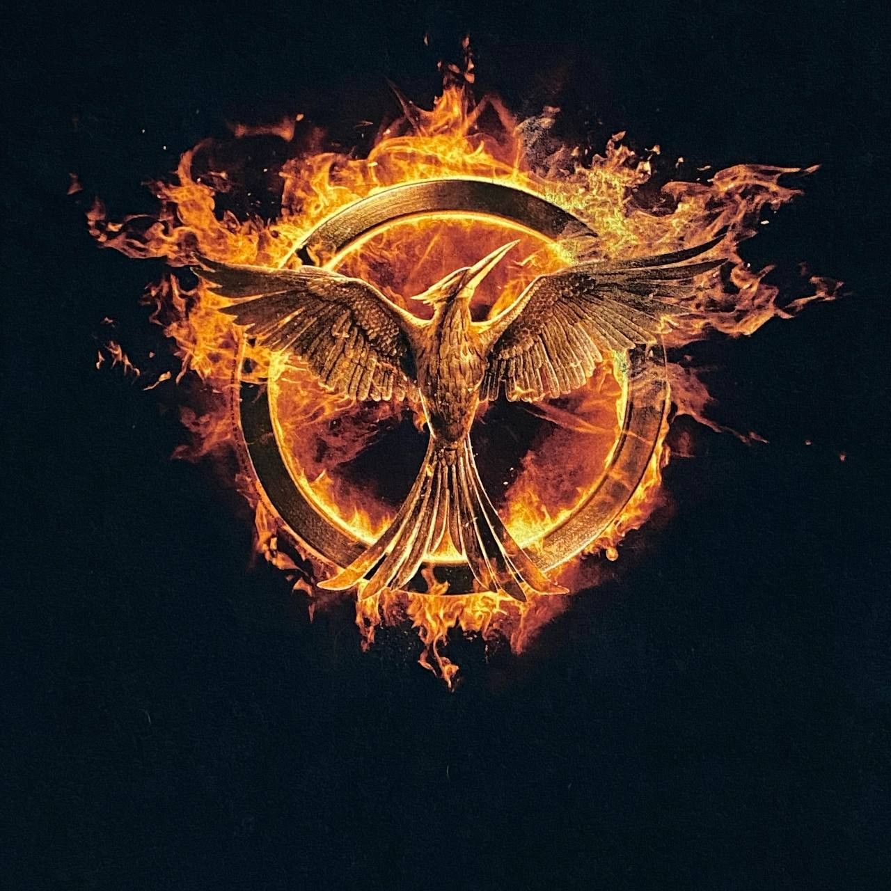 Gildan Movie the hunger games film Size US XL / EU 56 / 4 - 3 Thumbnail