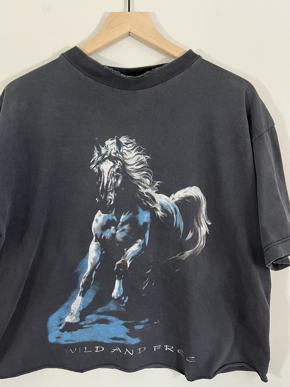 Vintage Sun Faded Thrashed Wild And Free Cropped Horse Tee Size US XL / EU 56 / 4 - 3 Thumbnail