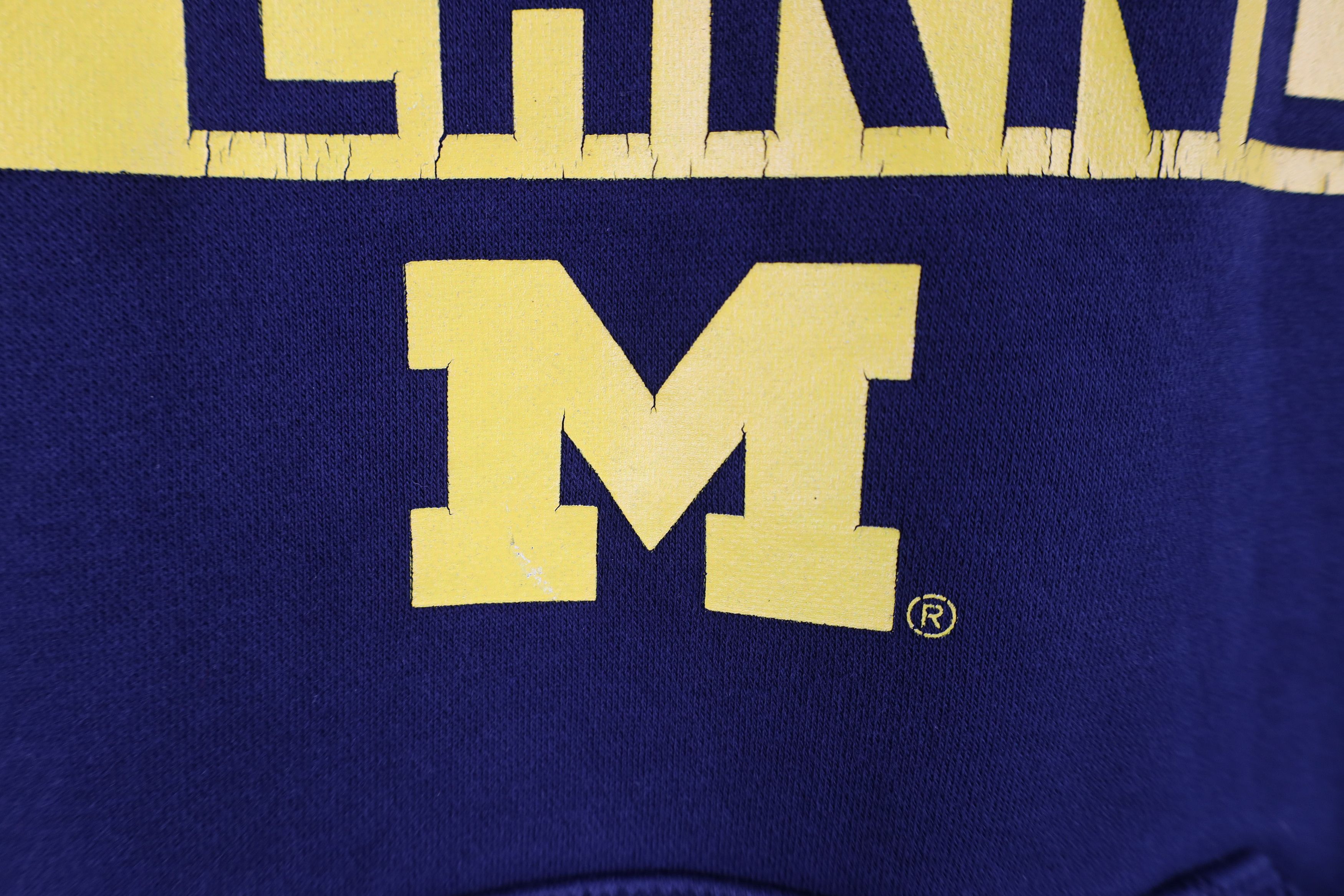 Nike Nike Air Jordan University of Michigan Hoodie Sweatshirt Size US S / EU 44-46 / 1 - 6 Thumbnail