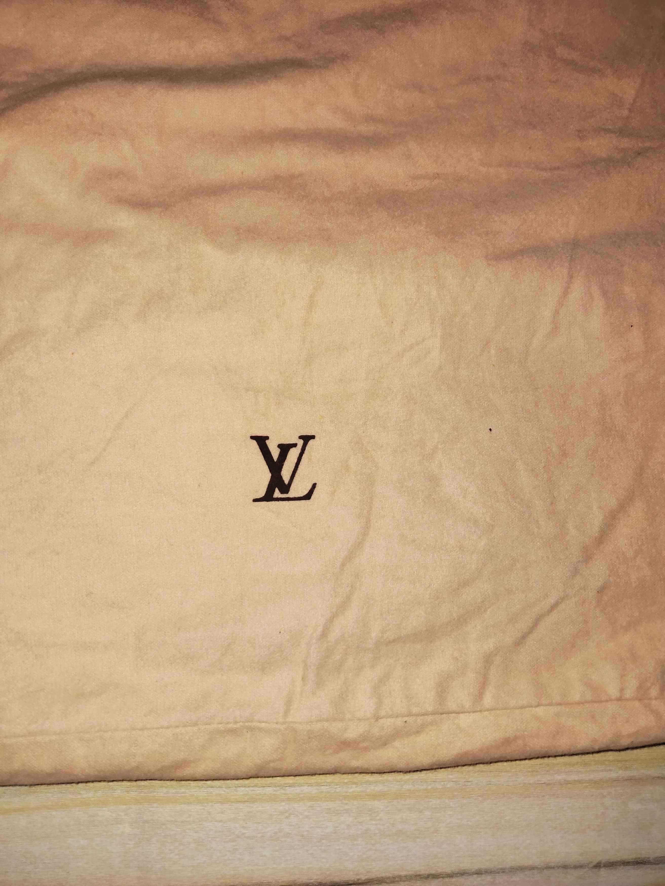 Louis Vuitton LOUIS VUITTON Dust Bag Size ONE SIZE - 2 Thumbnail