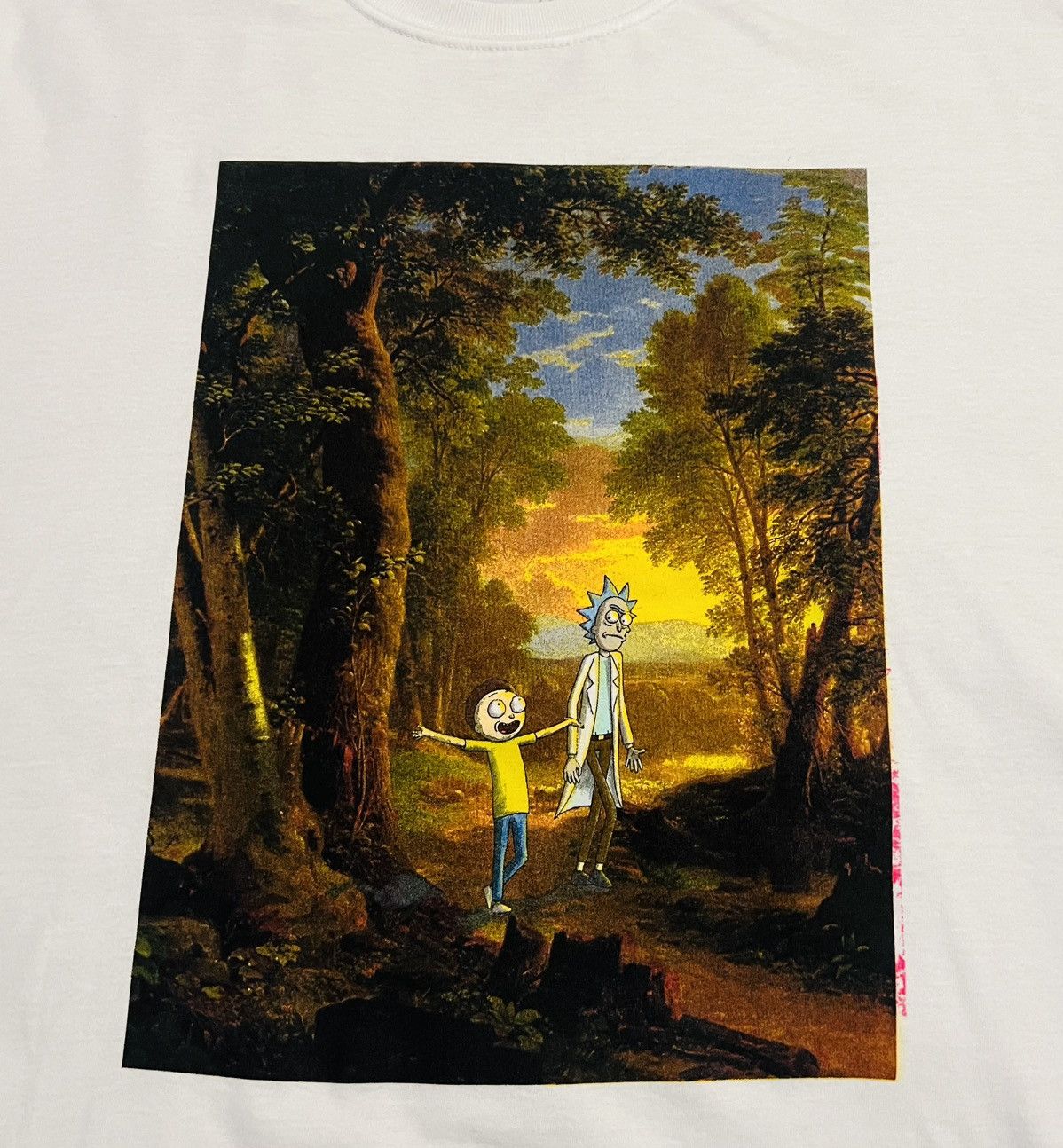 Other Rick and Morty Adult Swim T-shirt Size XL Size US XL / EU 56 / 4 - 2 Thumbnail