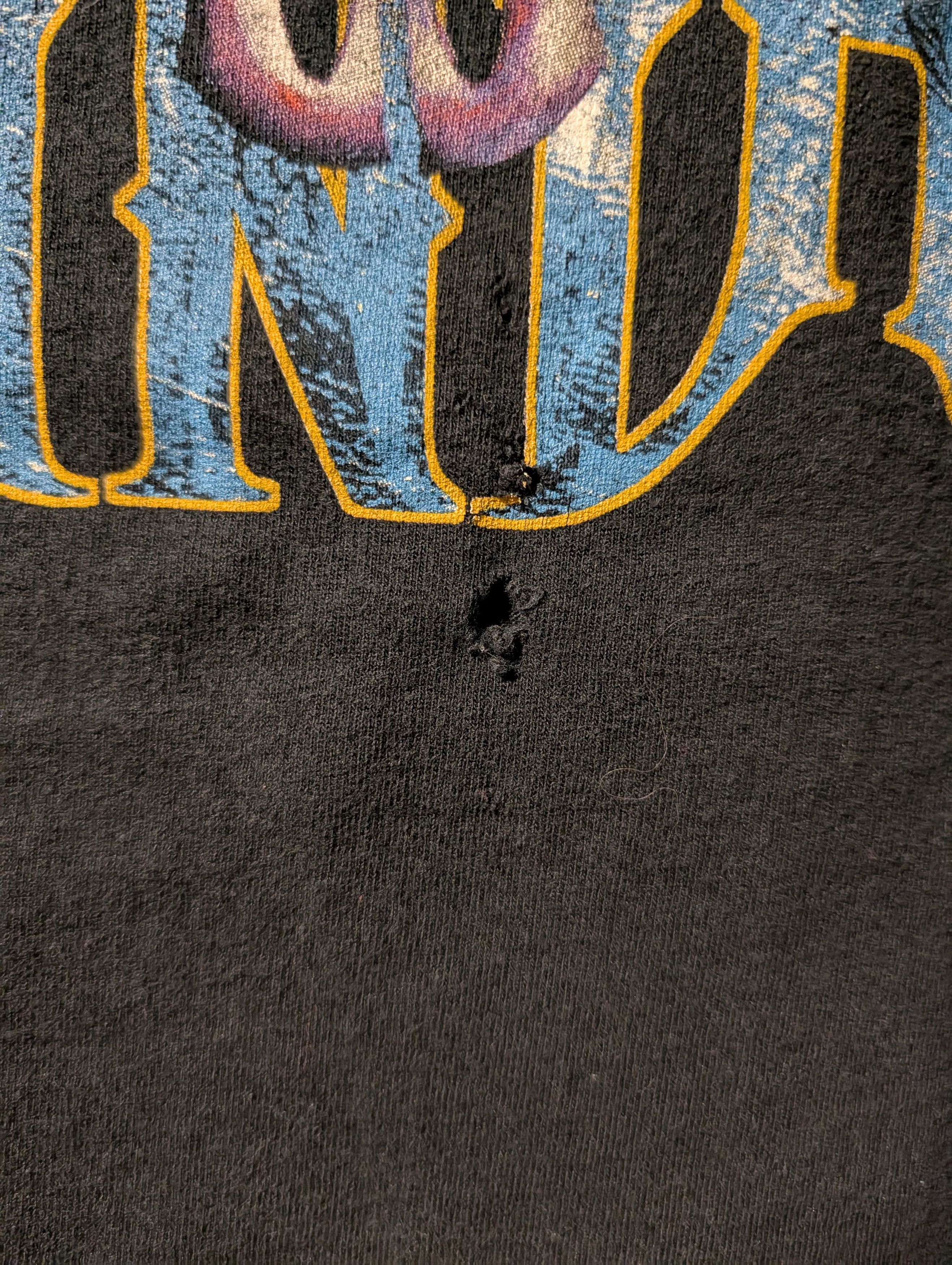 Band Tees Vintage 2000 Lynyrd Skynyrd Band Tour Black Large T-Shirt Size US L / EU 52-54 / 3 - 6 Thumbnail