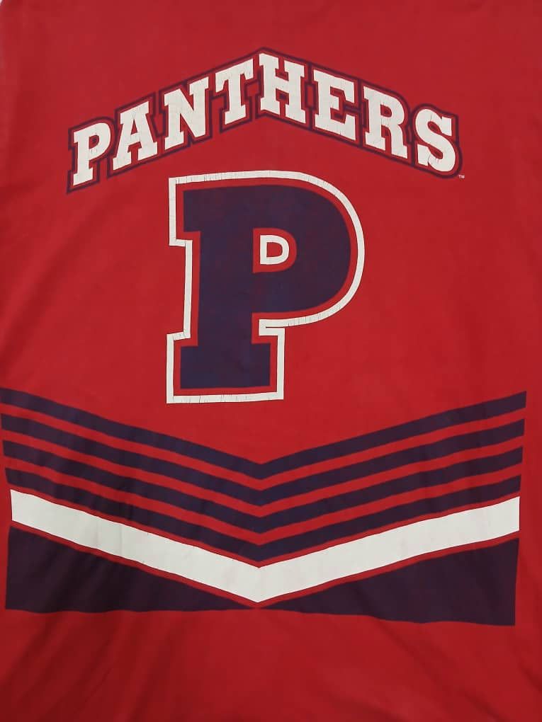 NHL × Vintage Vintage nhl team florida panthers Size US XXL / EU 58 / 5 - 7 Thumbnail