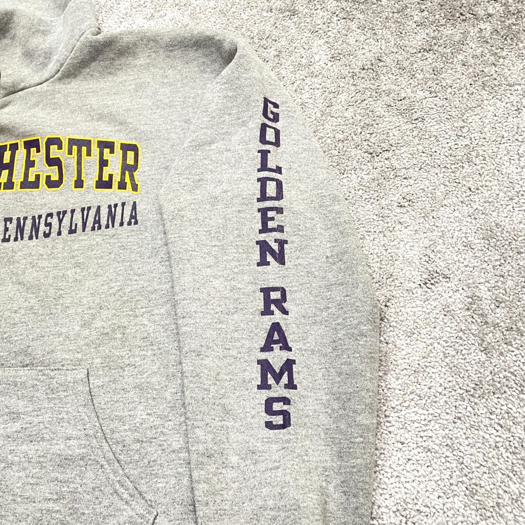 Russell Athletic VINTAGE Russell Athletic Hoodie Unisex Large Gray 90s Graphic Print Sweatshirt Size US L / EU 52-54 / 3 - 6 Thumbnail