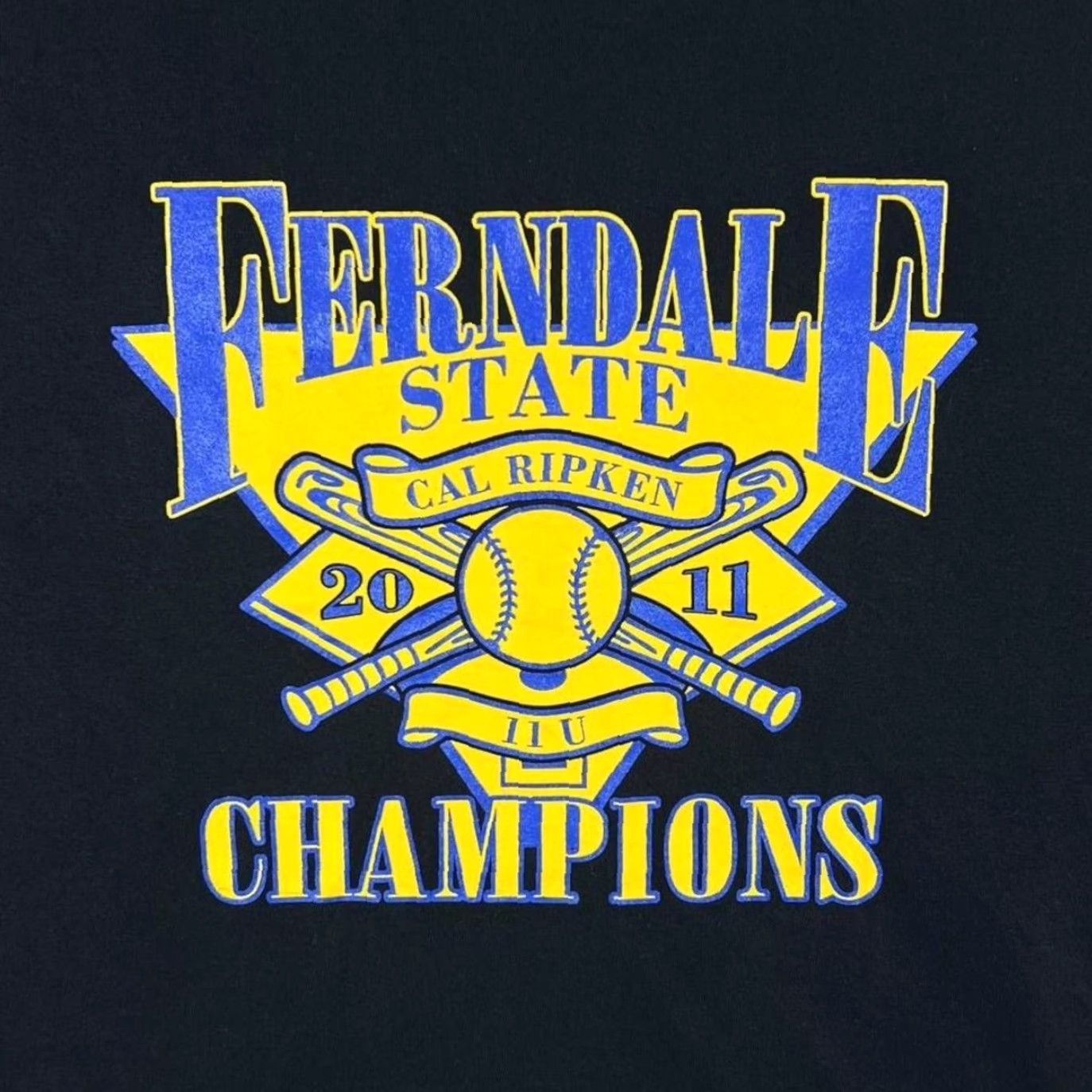 Gildan Ferndale State Champions "Cal Ripken" Baseball Sports Graphic Black T-Shirt XL Mens Short Sleeve Round Neck Size US XL / EU 56 / 4 - 5 Thumbnail