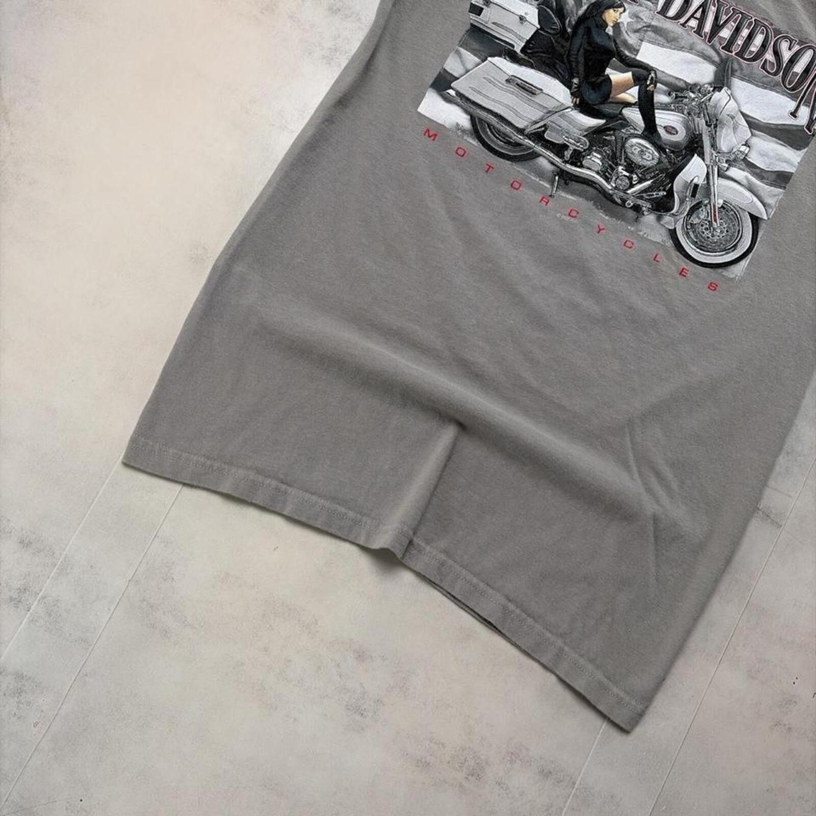 Harley Davidson Y2K Grey Harley Davidson Grunge Rocky Mountain Biker T-Shirt Size US S / EU 44-46 / 1 - 5 Thumbnail
