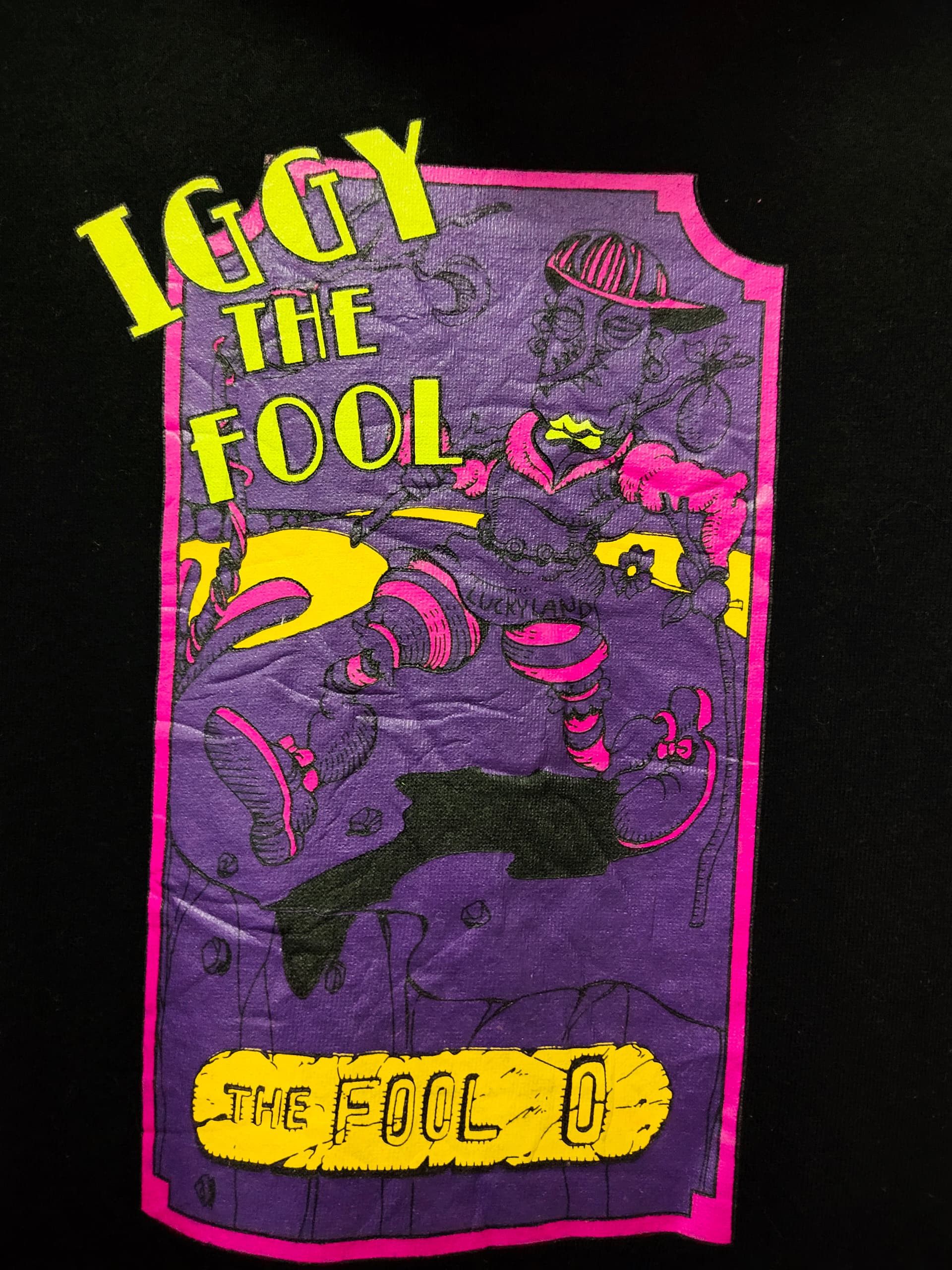 Anime VINTAGE IGGY THE FOOL JOJO BIZZARE ADVENTURE ANIME HOODIE Size US S / EU 44-46 / 1 - 2 Thumbnail