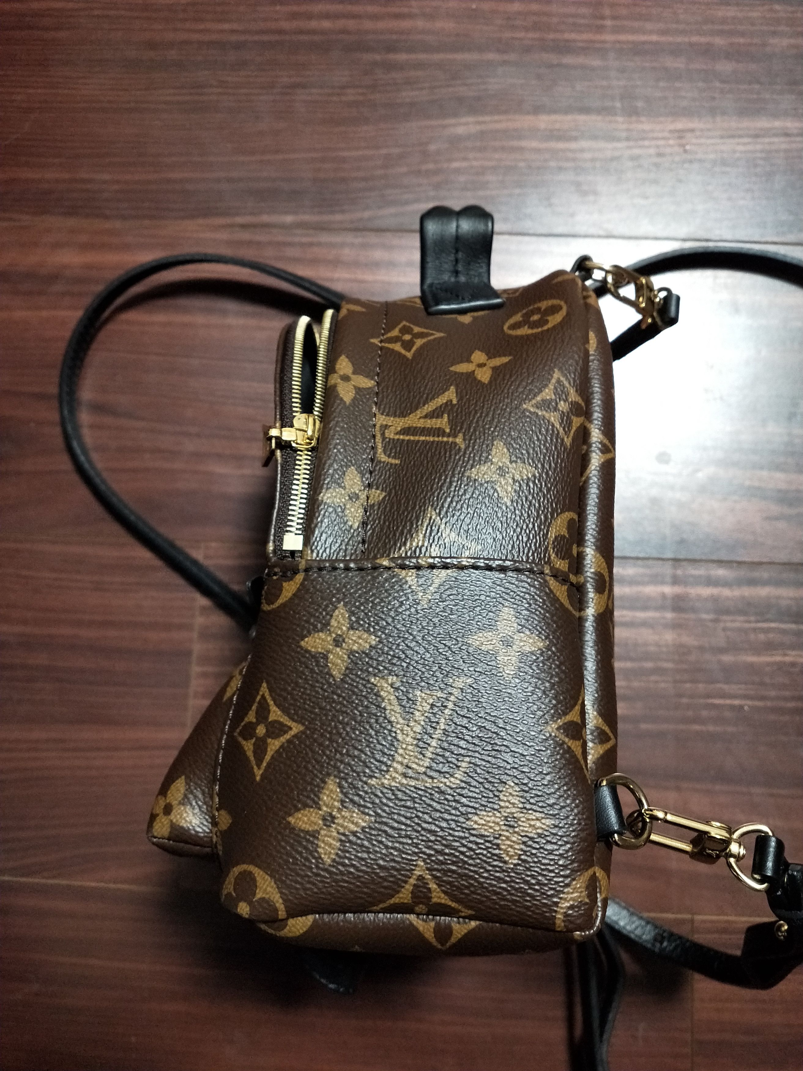 Louis Vuitton Palm Springs Monogram Mini Backpack Size ONE SIZE - 3 Thumbnail
