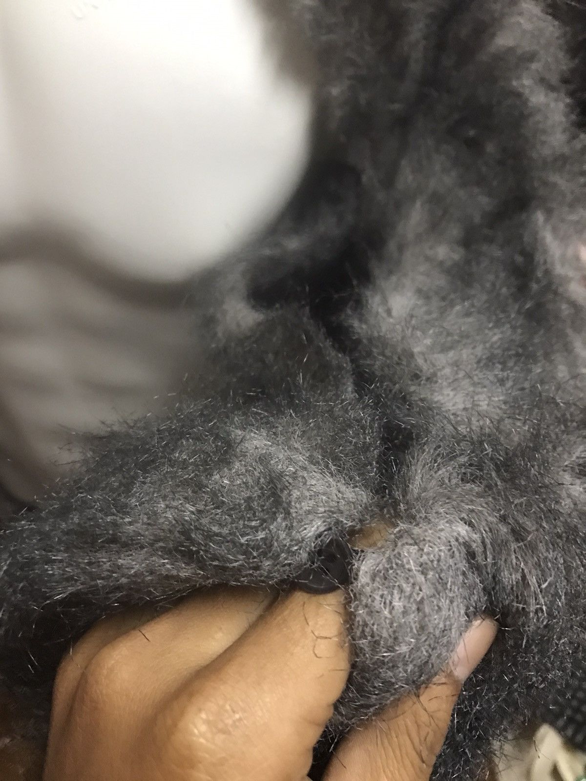 Pleats Please Issey Miyake Pleats Pleatse Fur Size M / US 6-8 / IT 42-44 - 11 Thumbnail