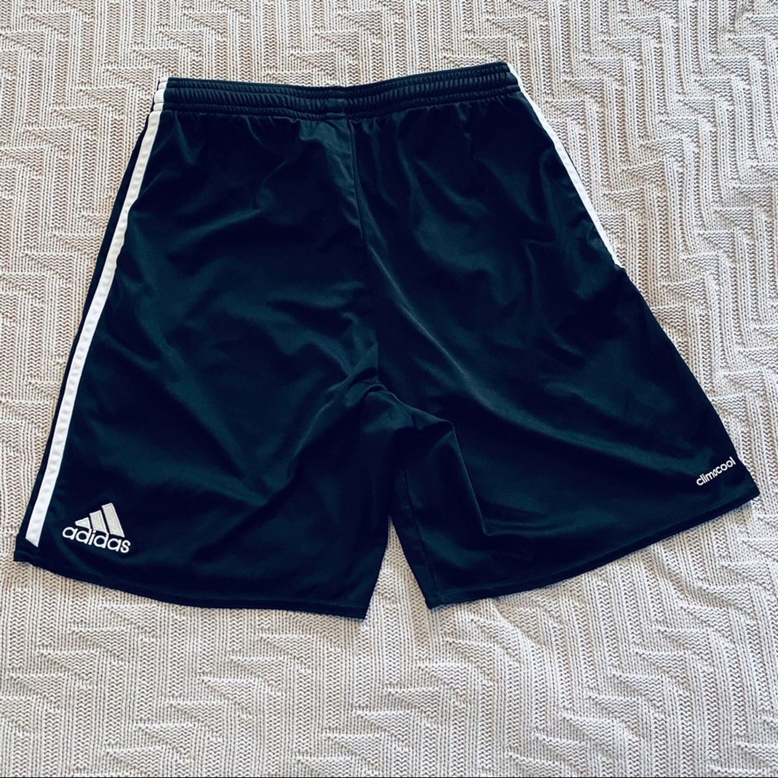 Adidas Adidas climacool shorts Size US 30 / EU 46 - 1 Thumbnail