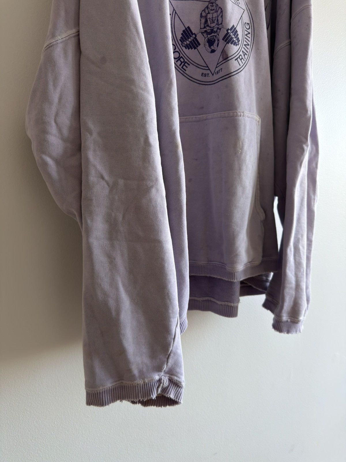 Vintage *RARE* VINTAGE WORLD GYM GORILLA ARNOLD FADED BOXY HOODIE Size US XL / EU 56 / 4 - 8 Thumbnail