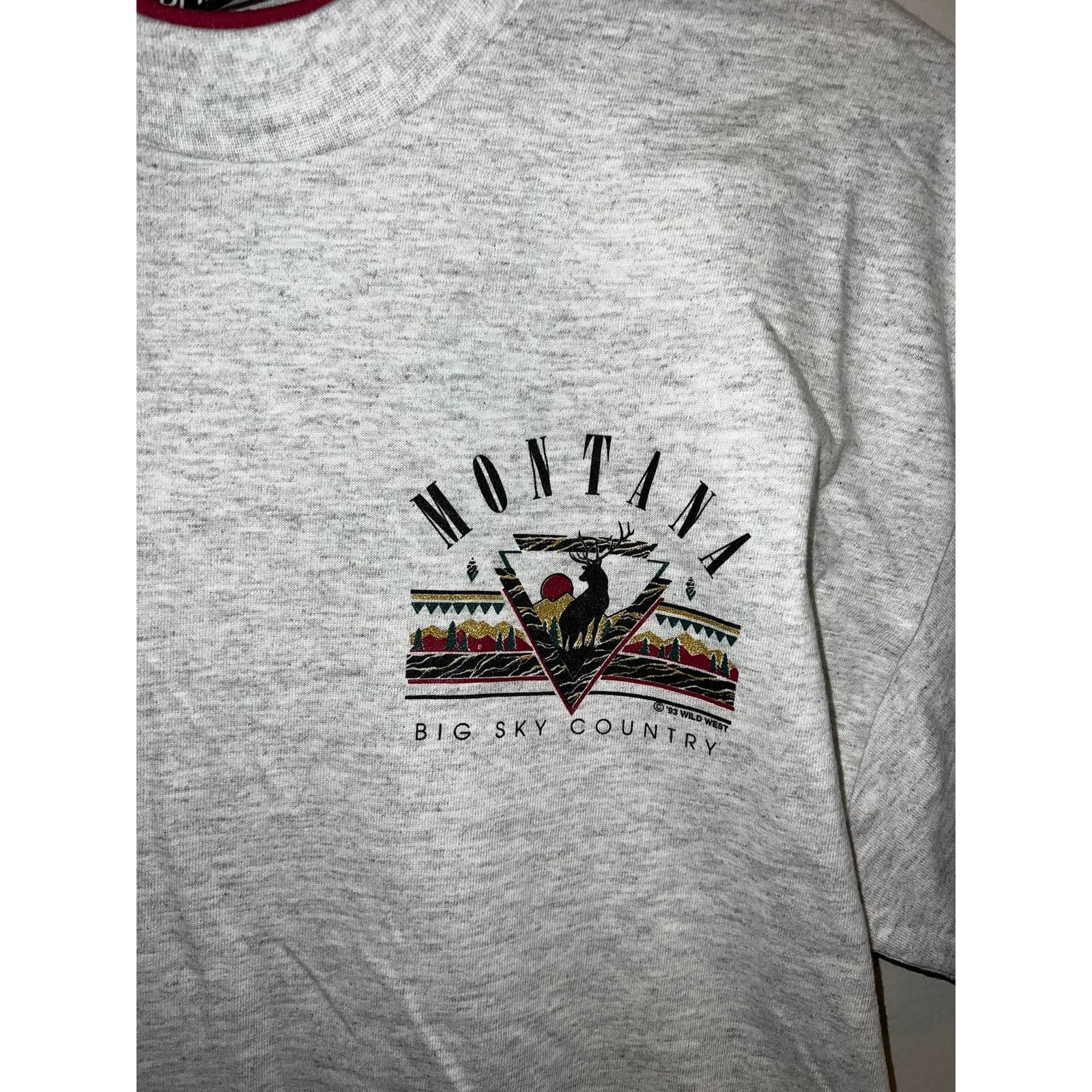 Vintage Vintage Montana Big Sky Country Shirt Gray Tee VTG 90s L Size US L / EU 52-54 / 3 - 2 Thumbnail