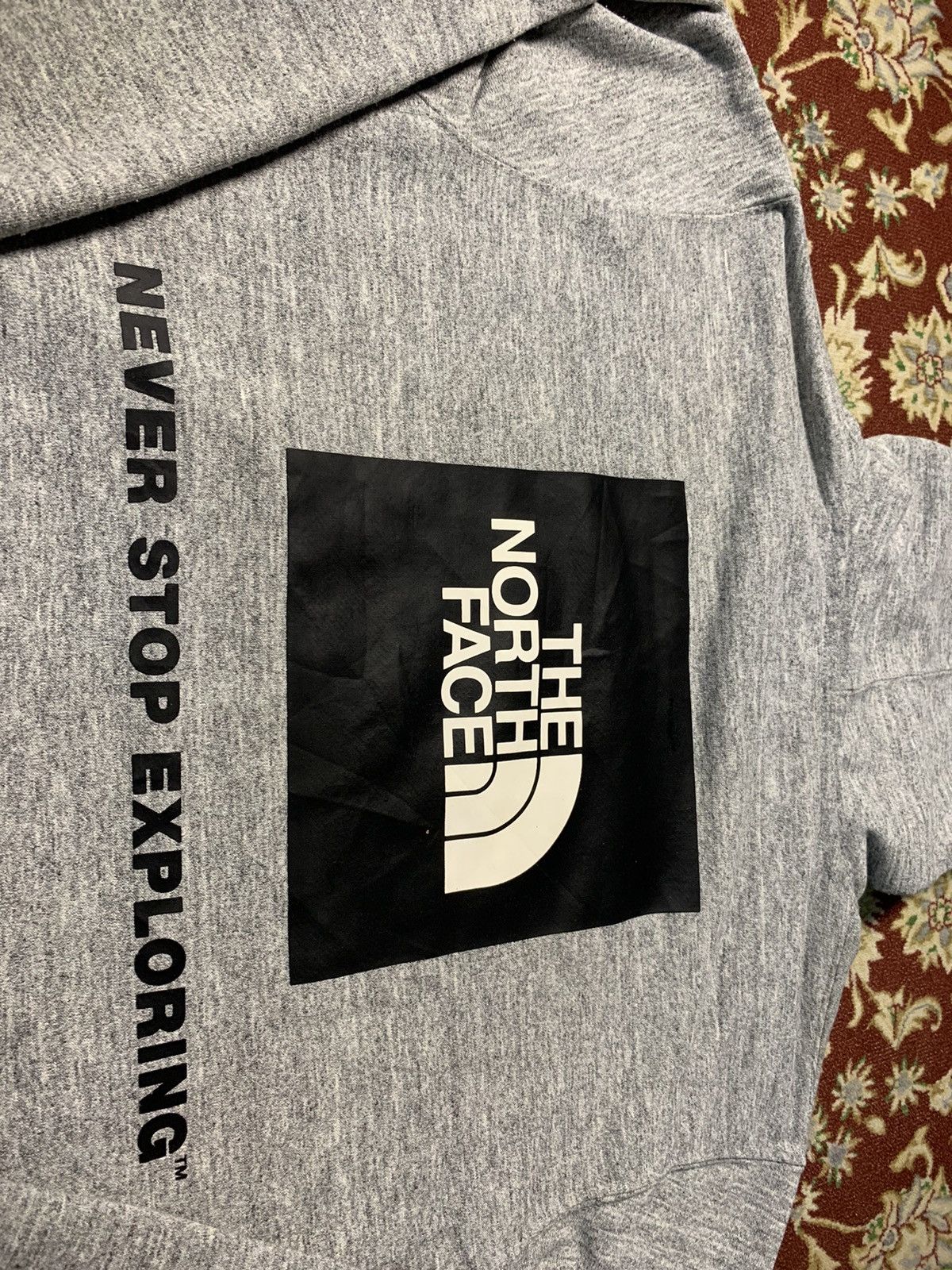 The North Face THE NORTH FACE HOODIE BIG BASIC LOGO Size US M / EU 48-50 / 2 - 9 Thumbnail