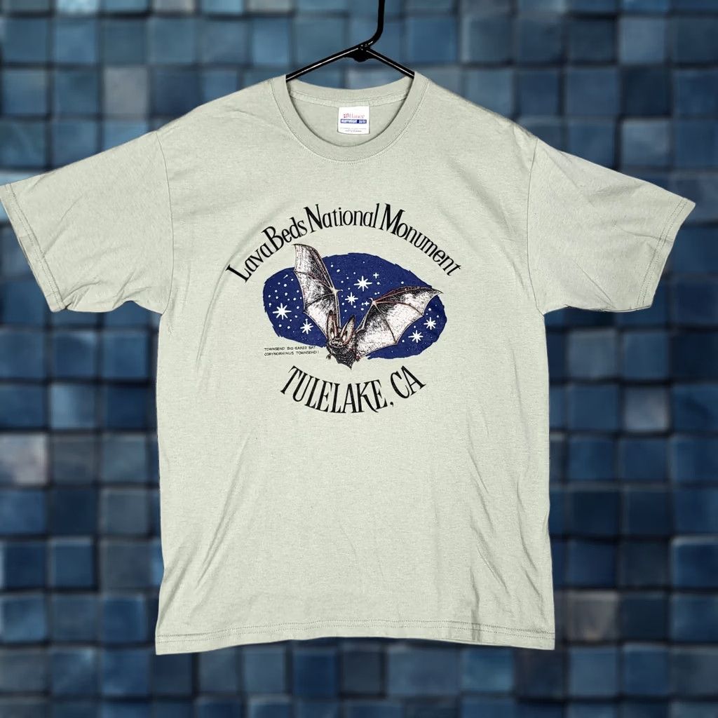 Hanes Hanes Tee M Unisex Adult Heavyweight Lavabeds National Monument Graphic Size US M / EU 48-50 / 2 - 1 Thumbnail