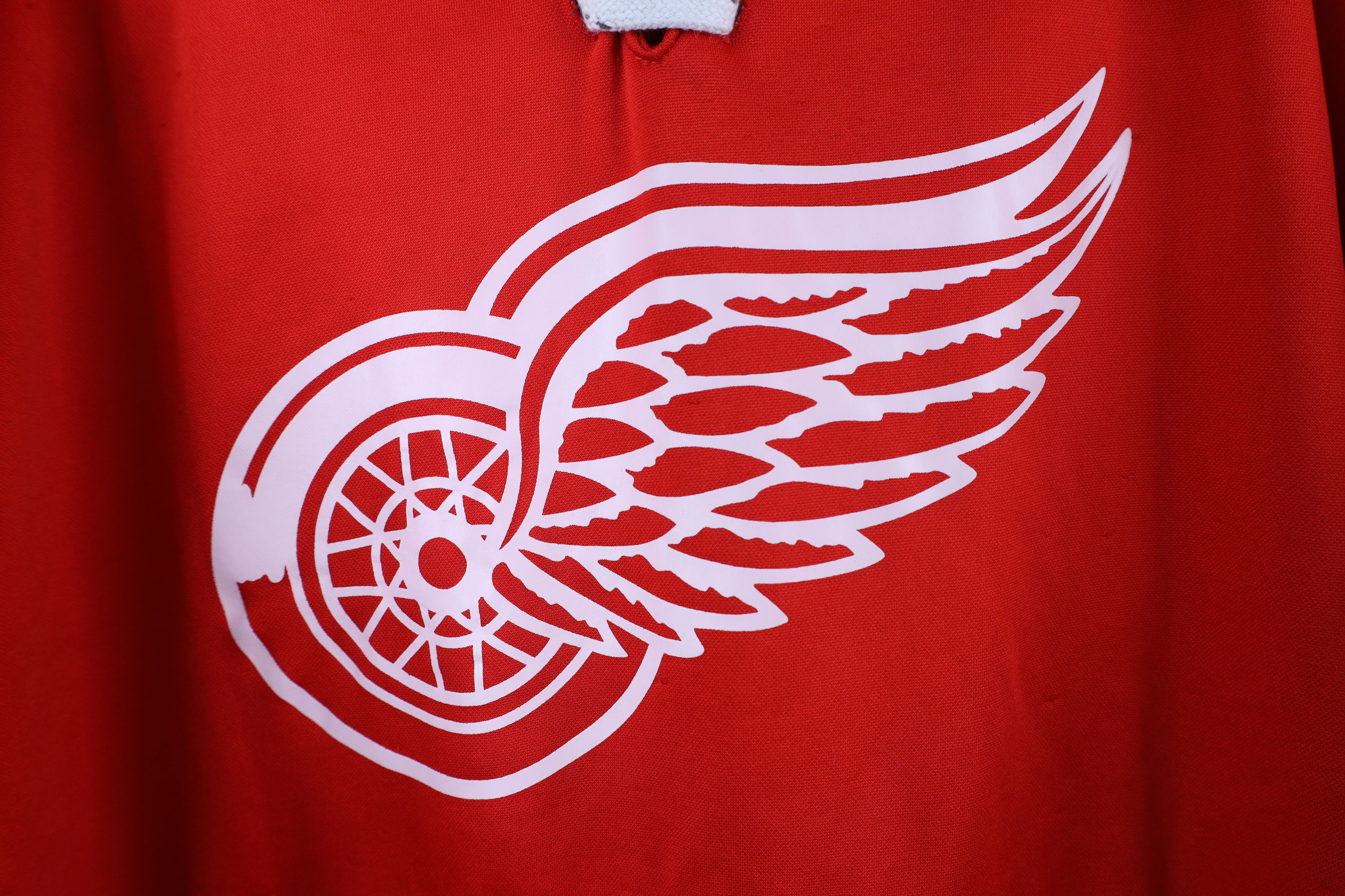 Vintage Y2K NHL Detroit Red Wings Hockey Jersey Hoodie Sweatshirt Size US L / EU 52-54 / 3 - 4 Thumbnail