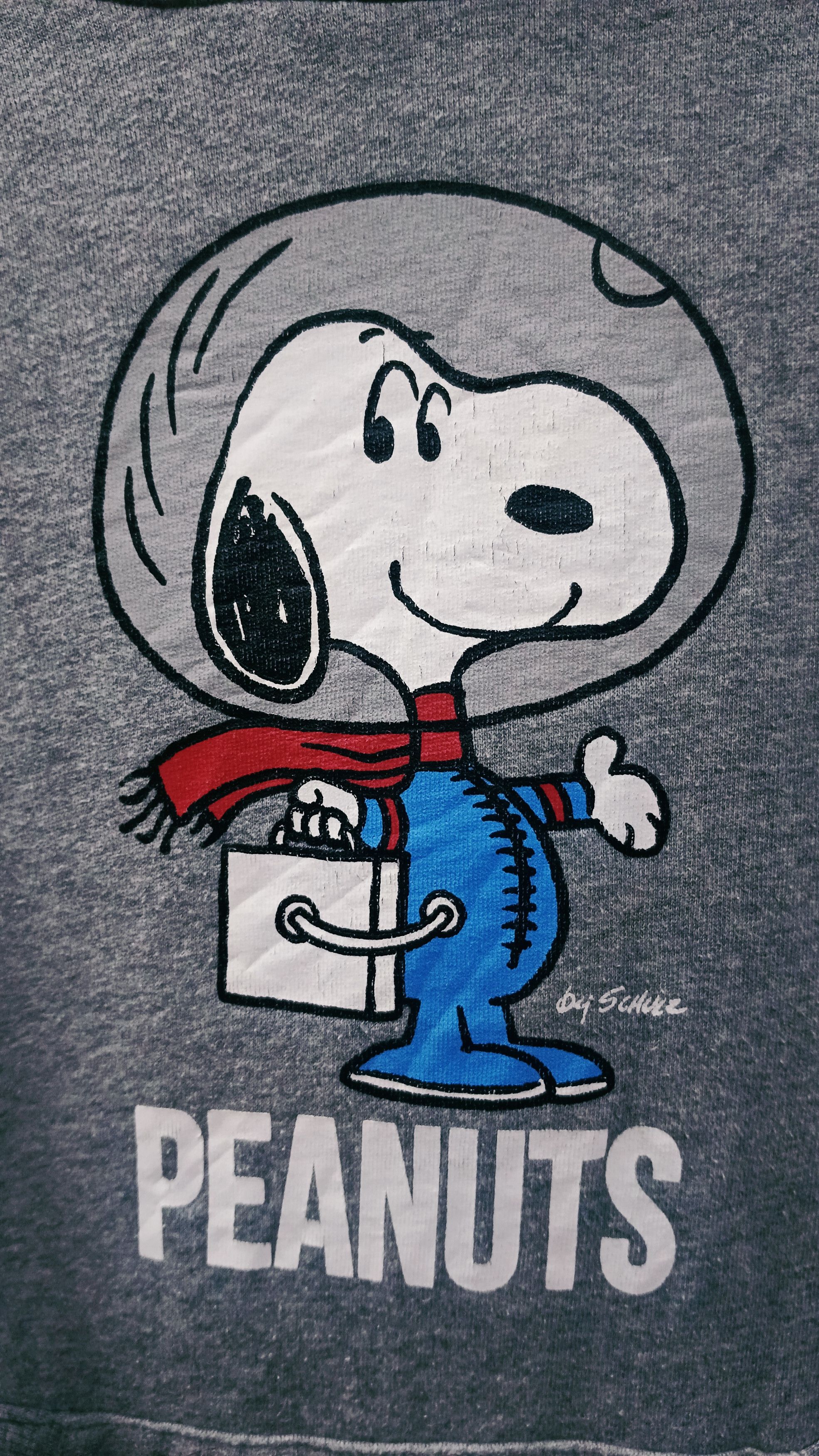 Dickies × Peanuts Vintage Peanuts x Dickies Hoodie Size US S / EU 44-46 / 1 - 3 Thumbnail