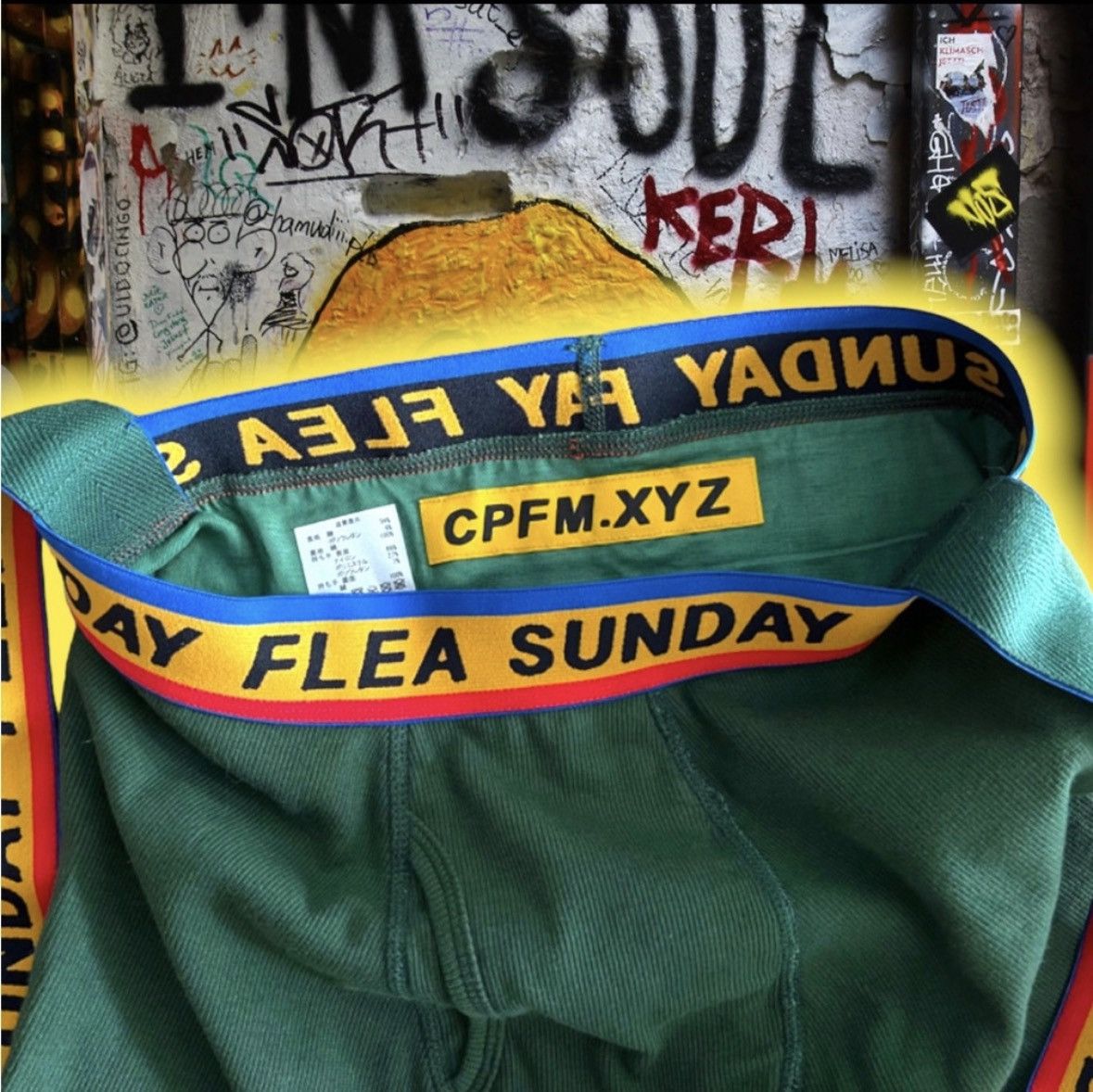 Cactus Plant Flea Market 🆕 Cactus 🌵 Plant 🪴 Flea Market 🛒 Flea Boxer 🩳 Tote 👜 Size ONE SIZE - 2 Thumbnail