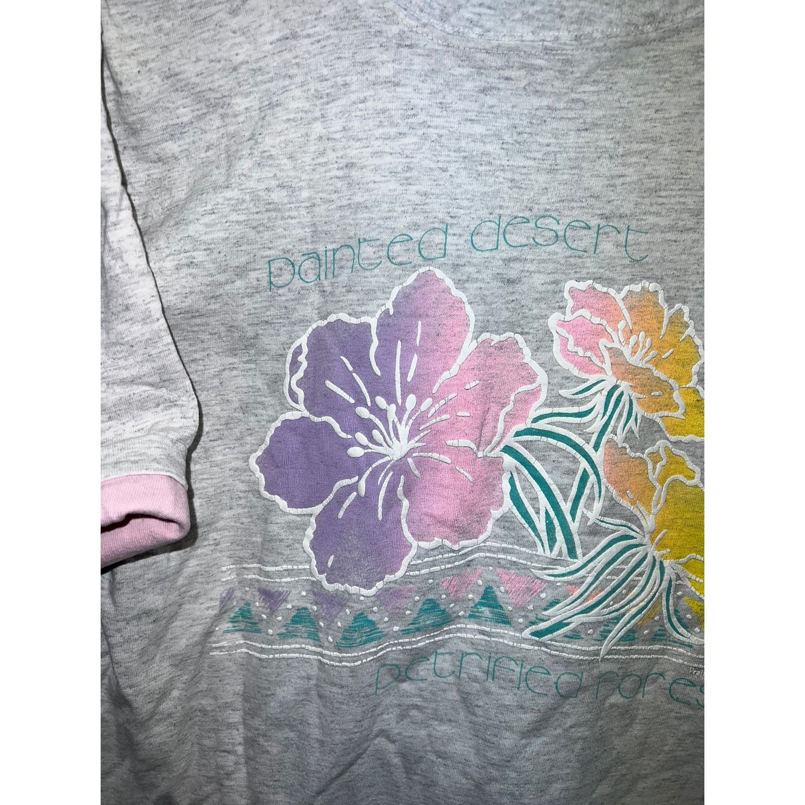 Vintage Vintage Painted Desert Shirt Petrified Forest Flower Tee 90s Size US M / EU 48-50 / 2 - 2 Thumbnail