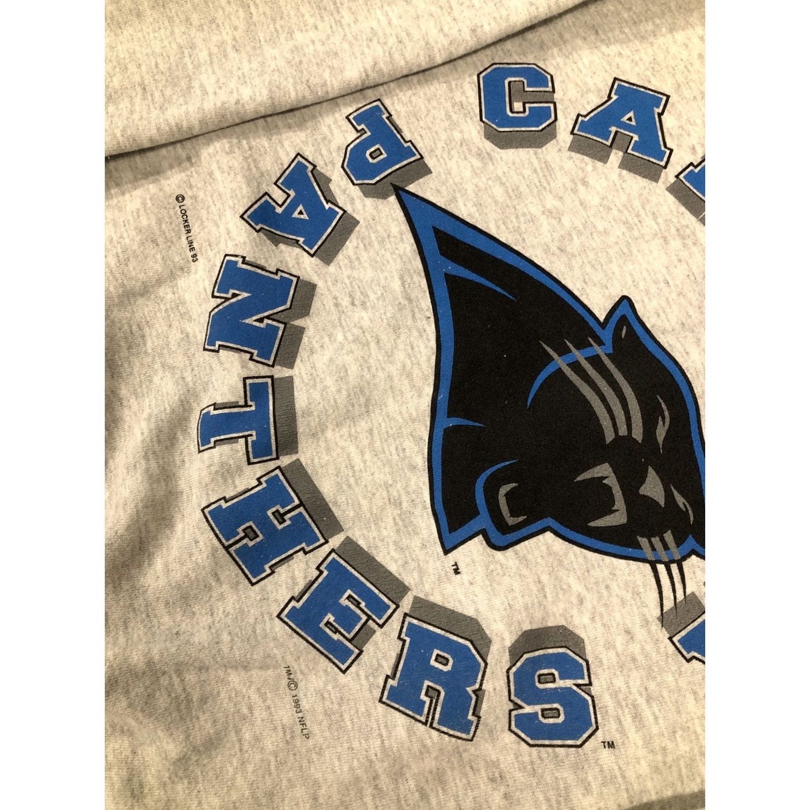 Tultex VINTAGE Tultex Carolina Panthers Sweatshirt 1993 Crew Neck XL Men Gray USA 90s Football NFL Graphic Print Pullover Size US XL / EU 56 / 4 - 5 Thumbnail