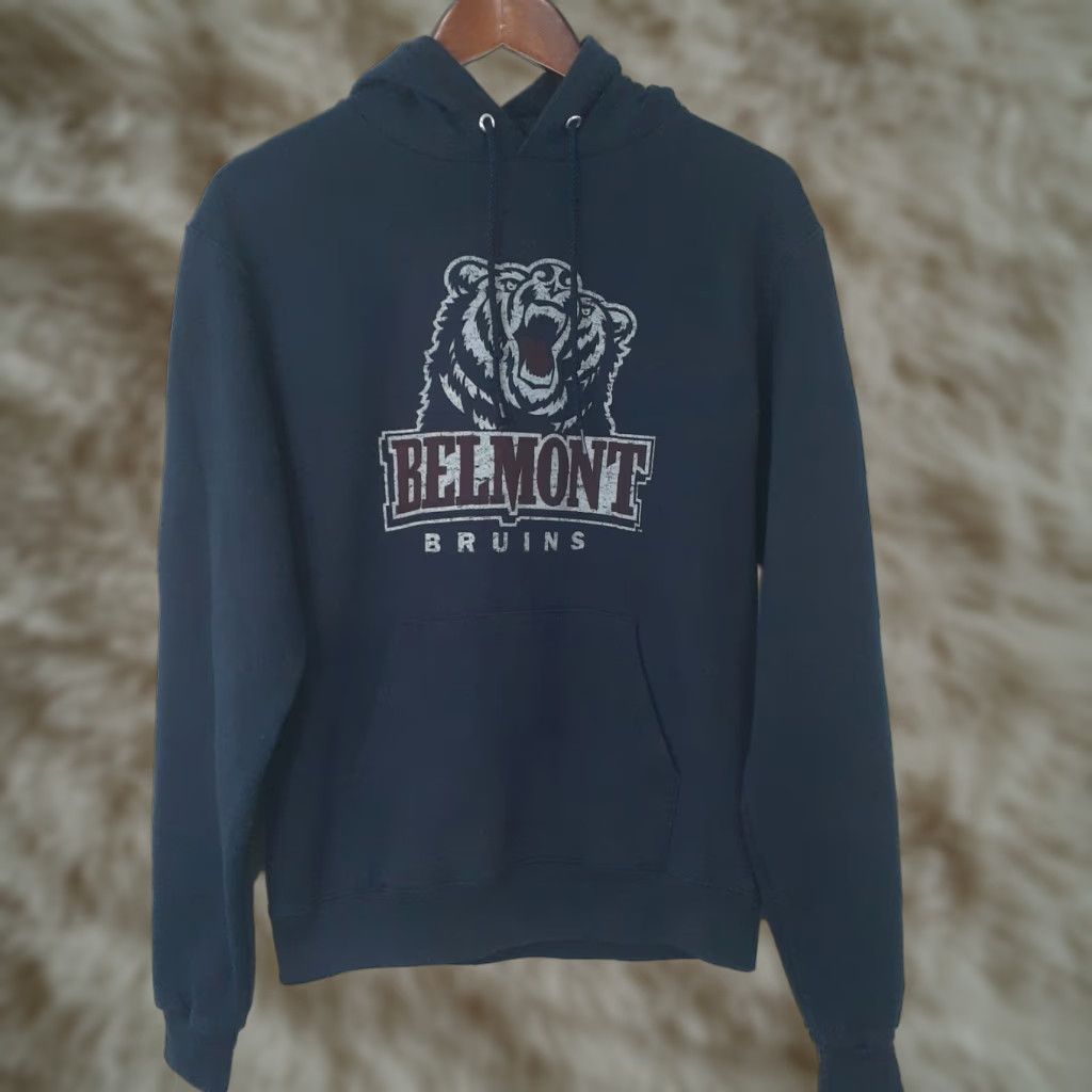 Champion Champion UCLA Hoodie Small Blue Bear Bruins Pullover Unisex Adults S Reg Casual Modern Style Color: Blue Bruins 90s? Size US S / EU 44-46 / 1 - 1 Thumbnail