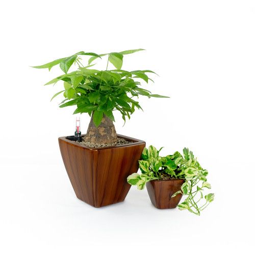Designer × Homemade 2-Pack Smart Self-watering Planter Pot for Indoor and Outdoo Size US L / EU 52-54 / 3 - 4 Thumbnail
