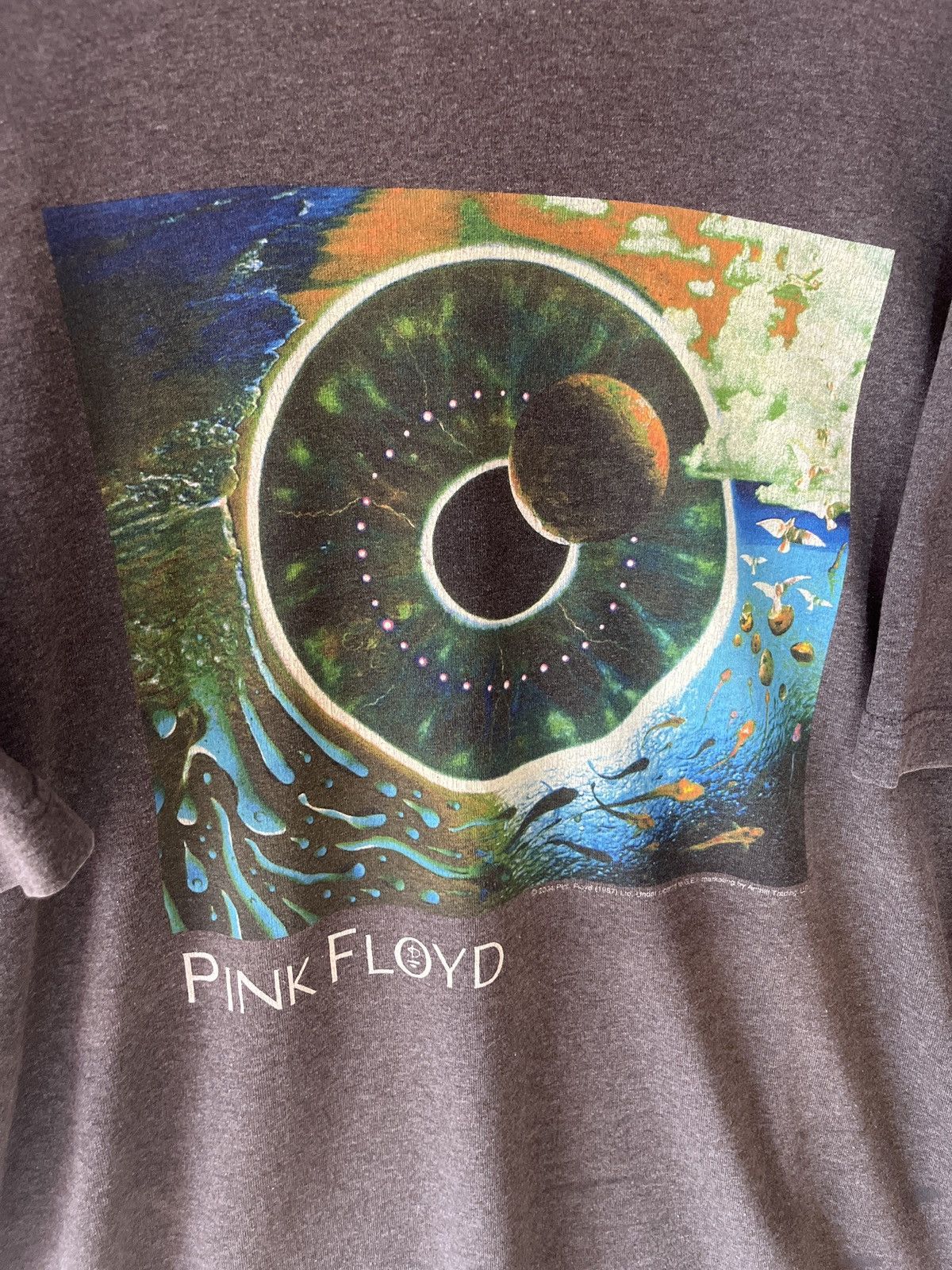 Alstyle 2001 pink floyd tee Size US L / EU 52-54 / 3 - 3 Thumbnail