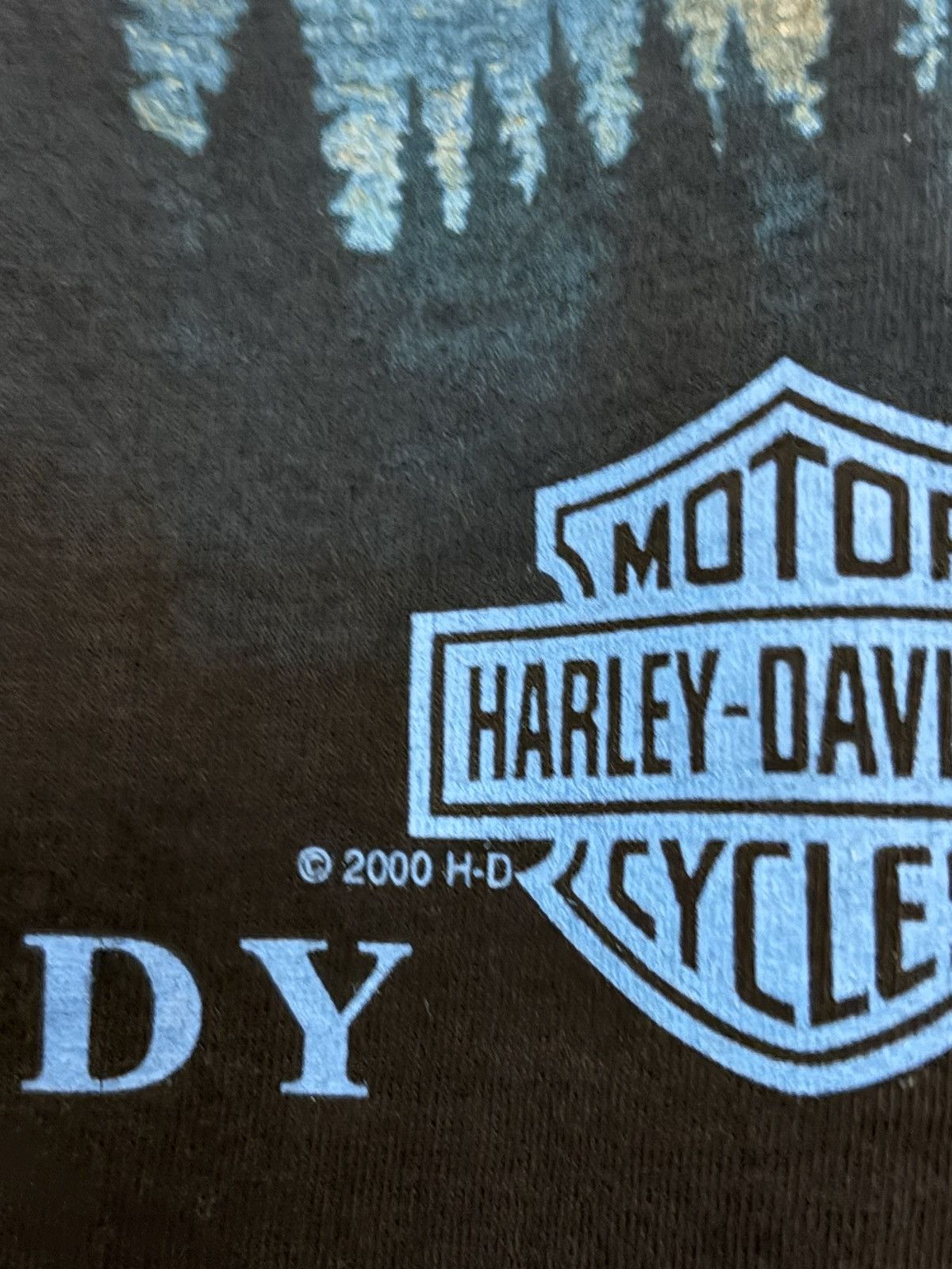 Harley Davidson Harley Davidson vintage 2005 Beartooth, Wyoming Tee shirt Size US XL / EU 56 / 4 - 7 Thumbnail