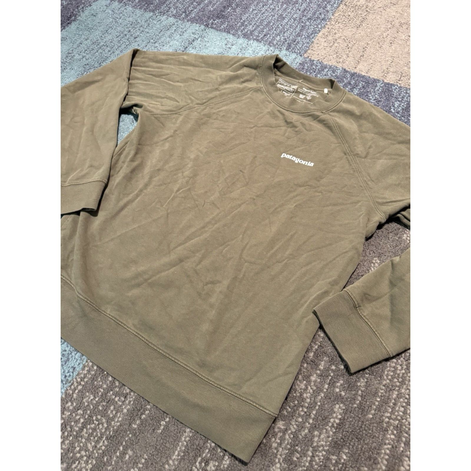 Patagonia Patagonia Sweatshirt Mens Small Green P-6 Logo Organic Crew French Terry Size US S / EU 44-46 / 1 - 6 Thumbnail