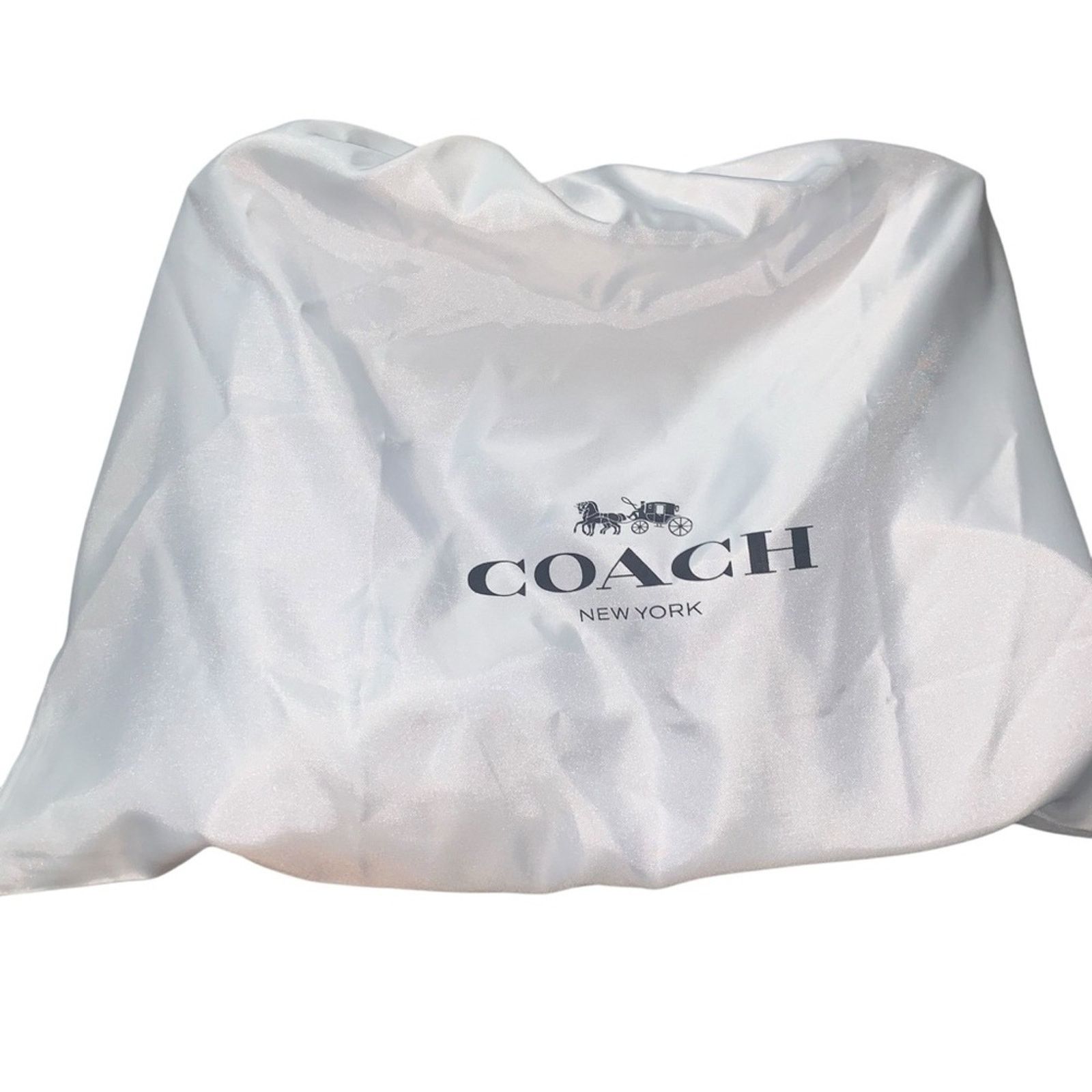 Coach NWT Coach Chaise Leather Crossbody perfect spring blue Size ONE SIZE - 5 Thumbnail