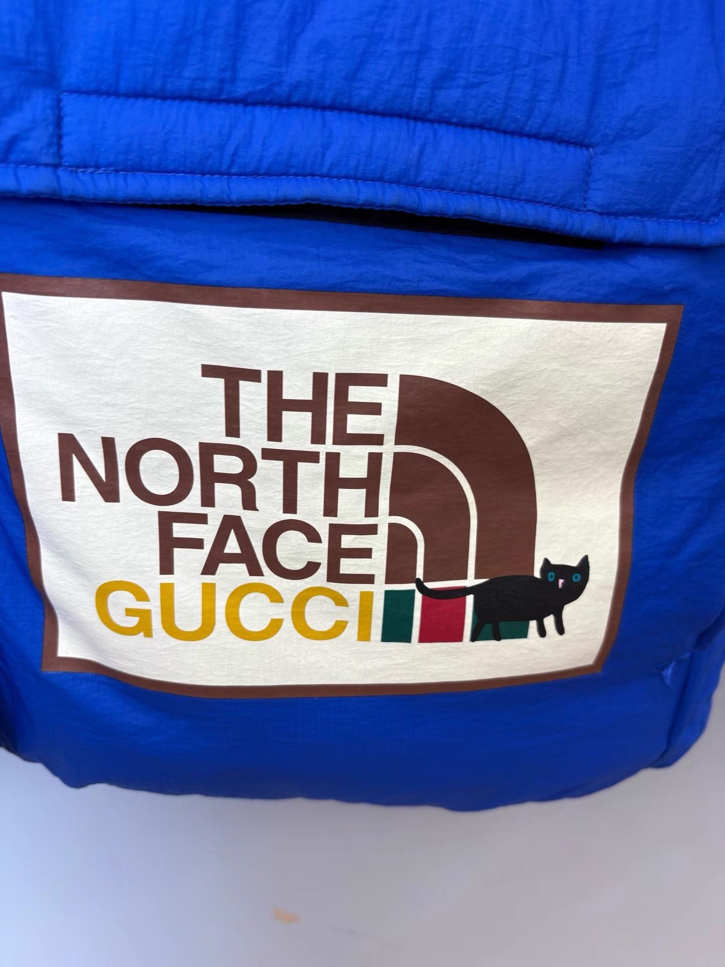 Gucci GUCCI × THE NORTH FACE Collaboration Blue Down Jacket K36 Size US L / EU 52-54 / 3 - 5 Thumbnail