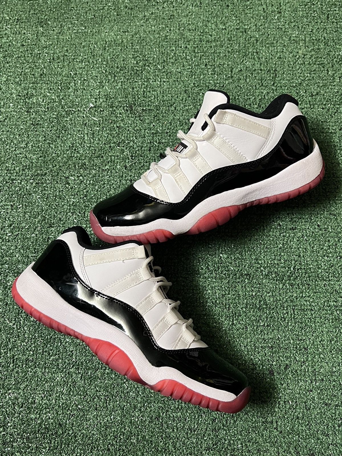 concord bred low