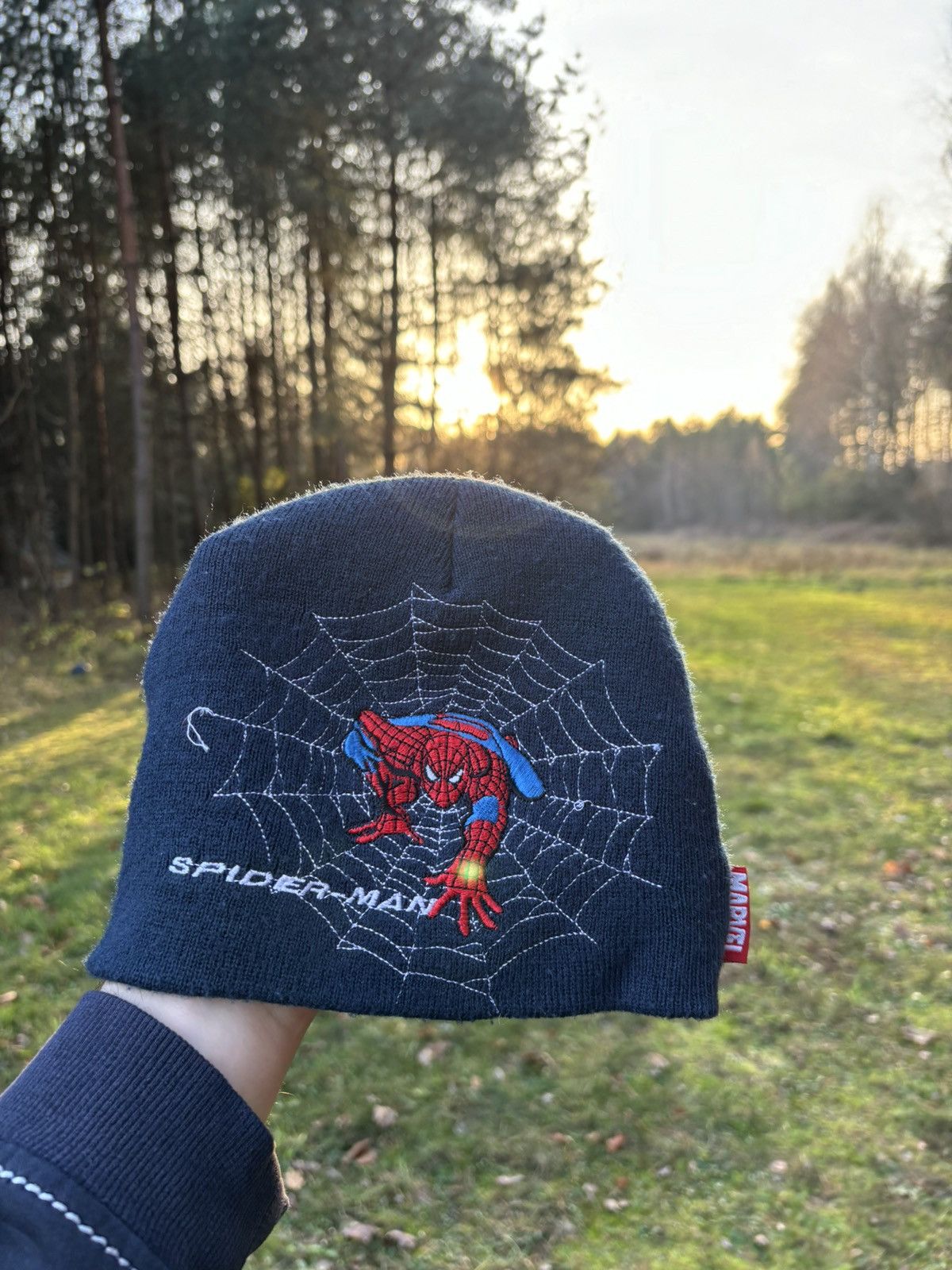 Arc'teryx × Japanese Brand × Vintage Y2K Web SpiderMan Japan