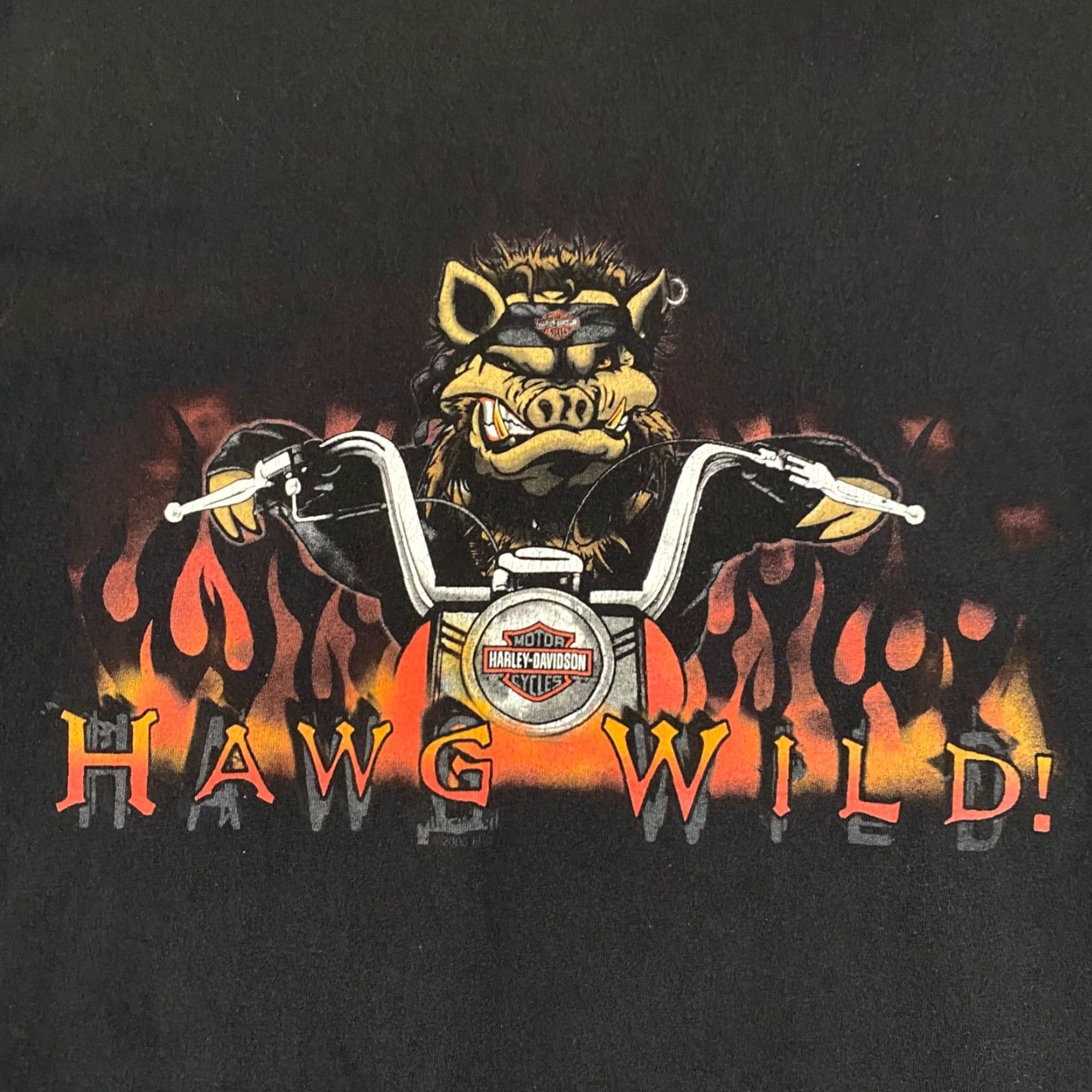 Harley Davidson Harley Davidson Shirt Mens 2XL Black Hawg Wild Motorcycle Tee S/S Seaford DE Size US XXL / EU 58 / 5 - 3 Thumbnail